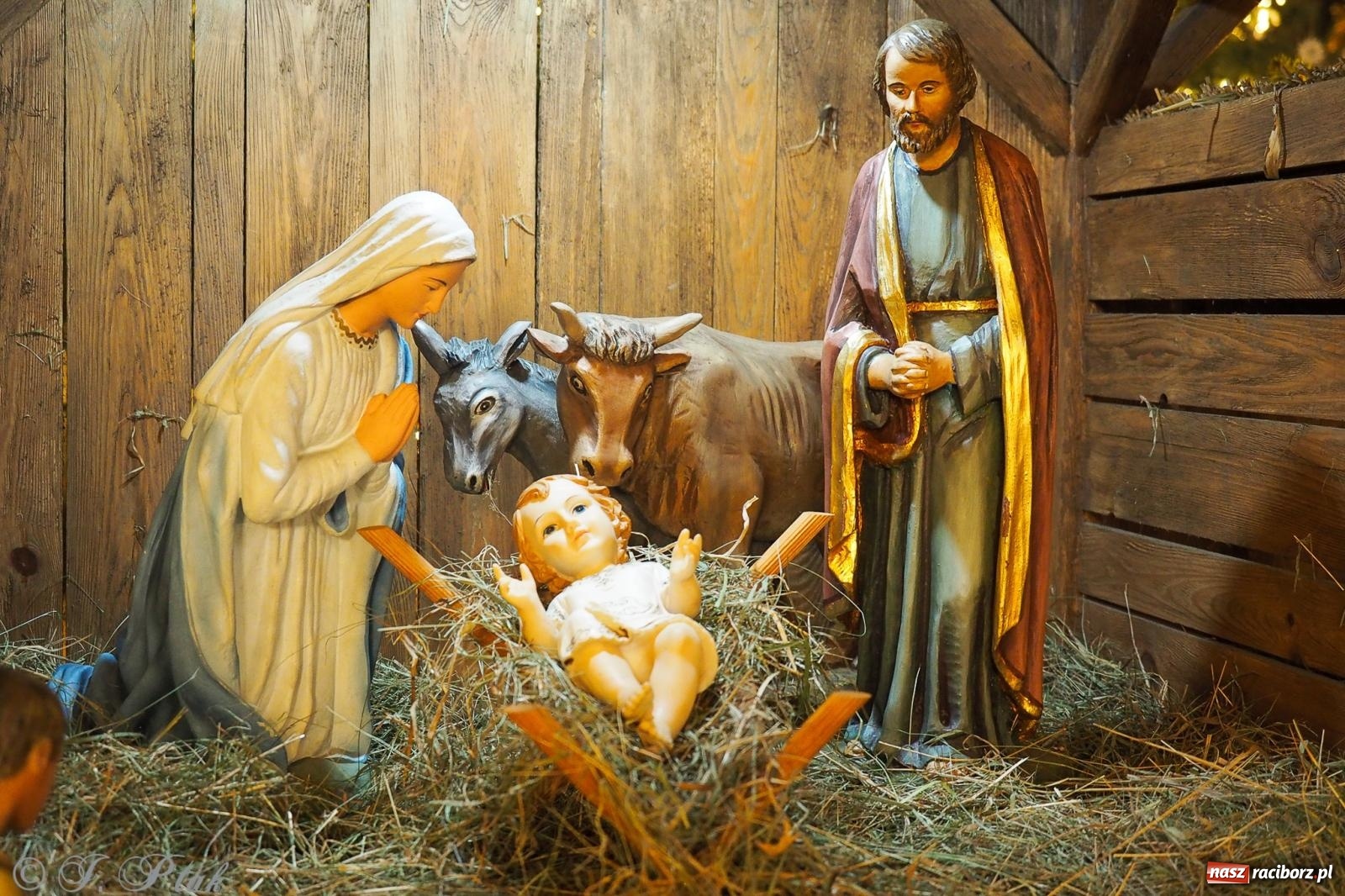 Zdjęcie w galerii na portalu naszraciborz.pl: Cicha noc rozbrzmiała w raciborskich świątyniach. Boże Narodzenie jako święto wiary i bliskości [FOTO i WIDEO] wiadomości z regionu