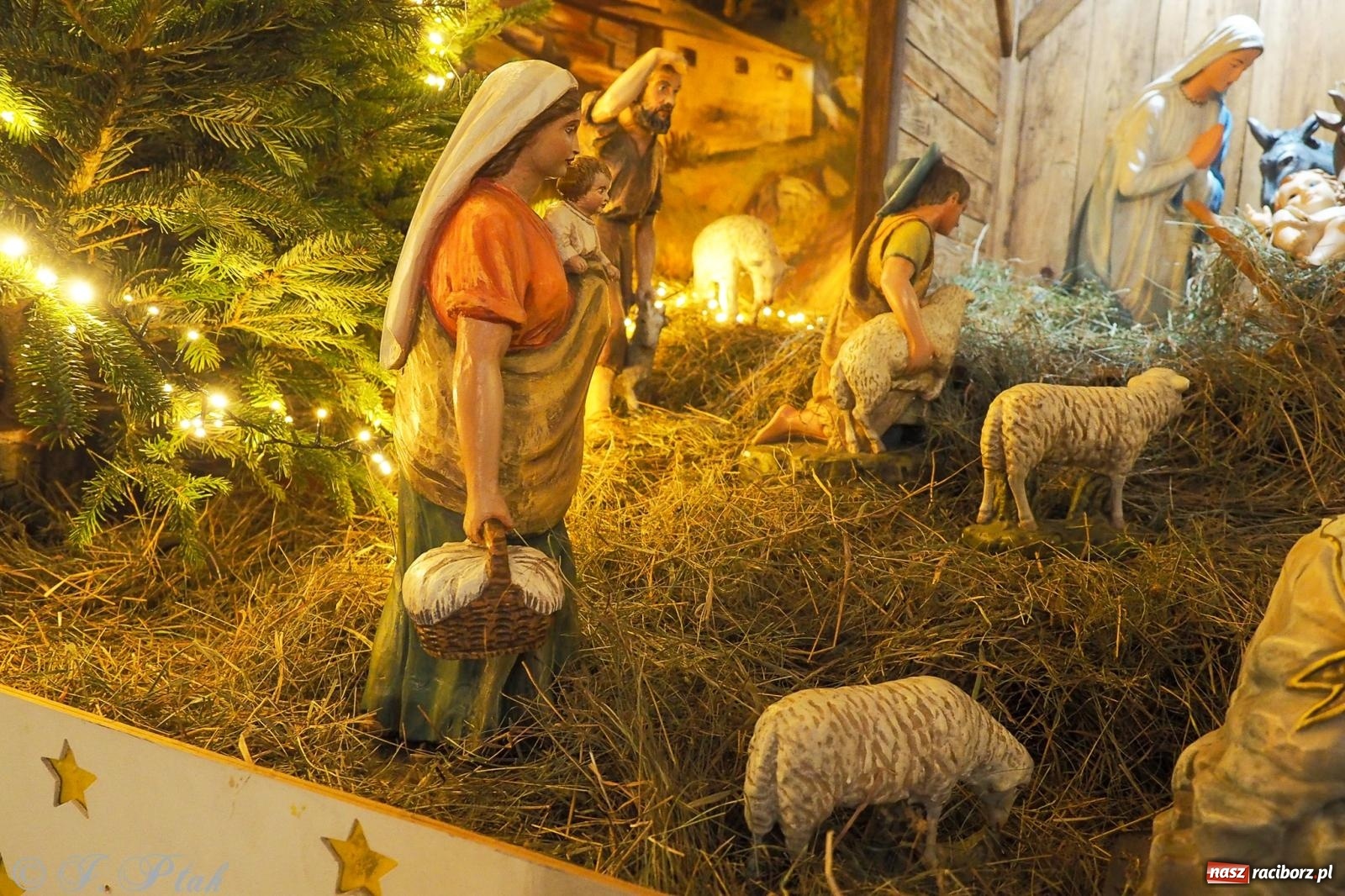 Zdjęcie w galerii na portalu naszraciborz.pl: Cicha noc rozbrzmiała w raciborskich świątyniach. Boże Narodzenie jako święto wiary i bliskości [FOTO i WIDEO] wiadomości z regionu