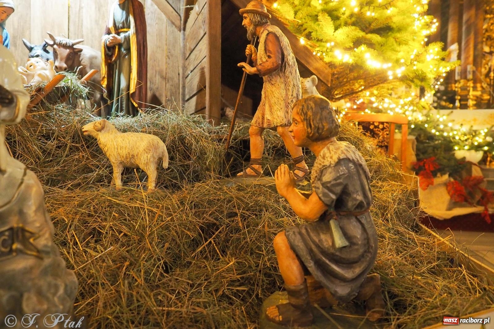 Zdjęcie w galerii na portalu naszraciborz.pl: Cicha noc rozbrzmiała w raciborskich świątyniach. Boże Narodzenie jako święto wiary i bliskości [FOTO i WIDEO] wiadomości z regionu