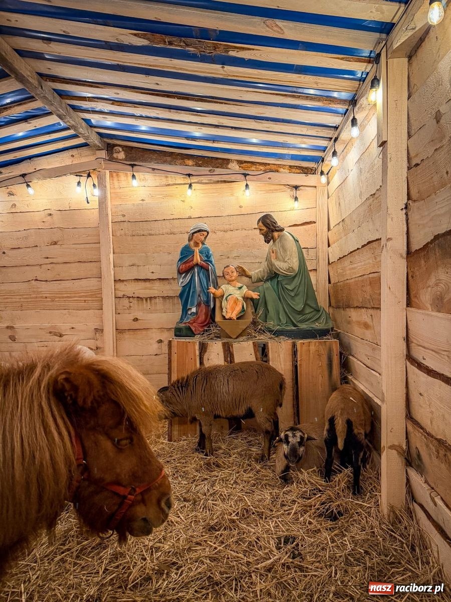 Zdjęcie w galerii na portalu naszraciborz.pl: Świąteczna atrakcja przy kościele na Ostrogu. Żywa szopka i kolędowanie w parafii św. Jana Chrzciciela [FOTO] wiadomości z regionu