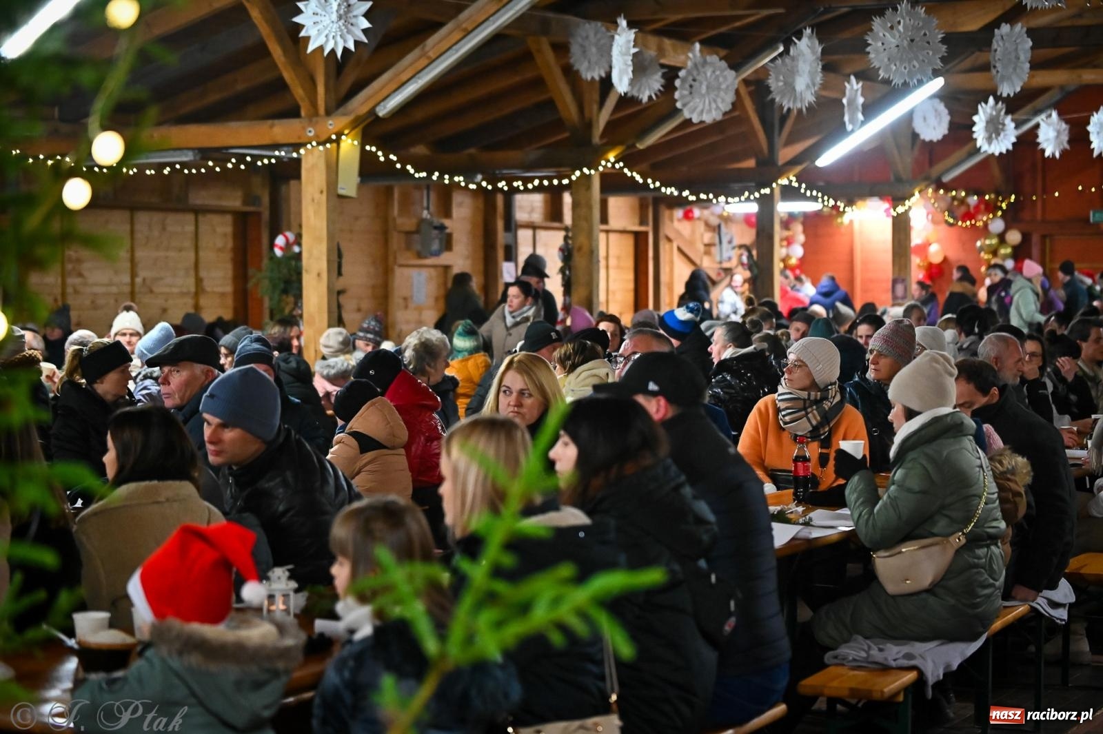 Zdjęcie w galerii na portalu naszraciborz.pl: Pierwsze wielkie rudzkie kolędowanie. Wspólne śpiewanie z Panem Babcią [FOTO i WIDEO] wiadomości z regionu