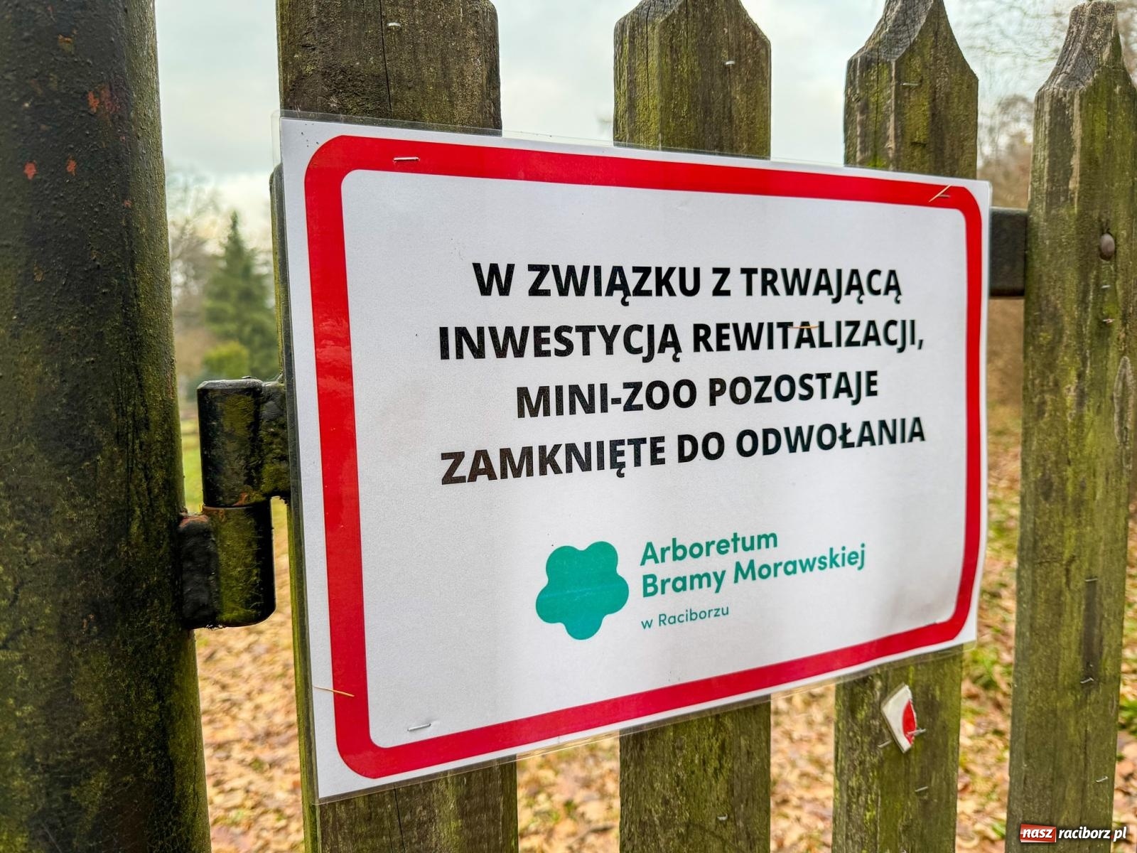 Zdjęcie w galerii na portalu naszraciborz.pl: Trwa wielka przebudowa w Lesie Obora [FOTO] wiadomości z regionu