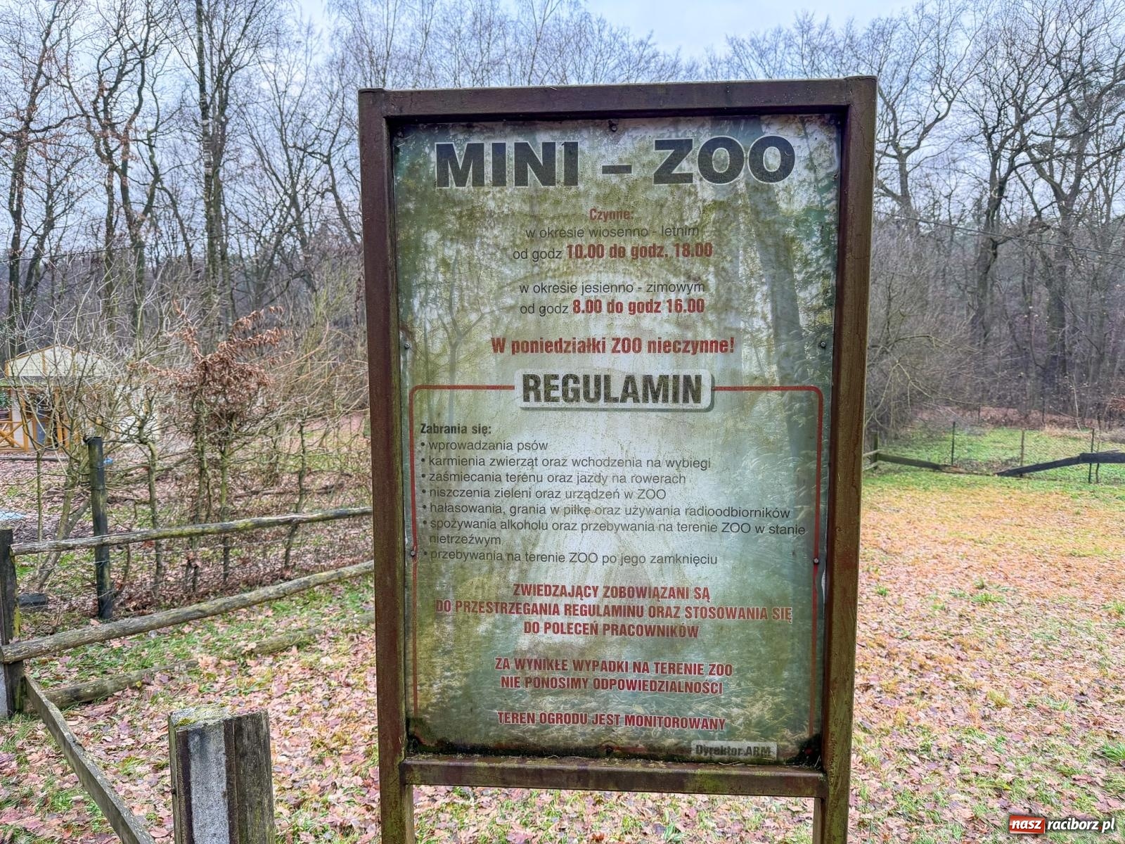 Zdjęcie w galerii na portalu naszraciborz.pl: Trwa wielka przebudowa w Lesie Obora [FOTO] wiadomości z regionu