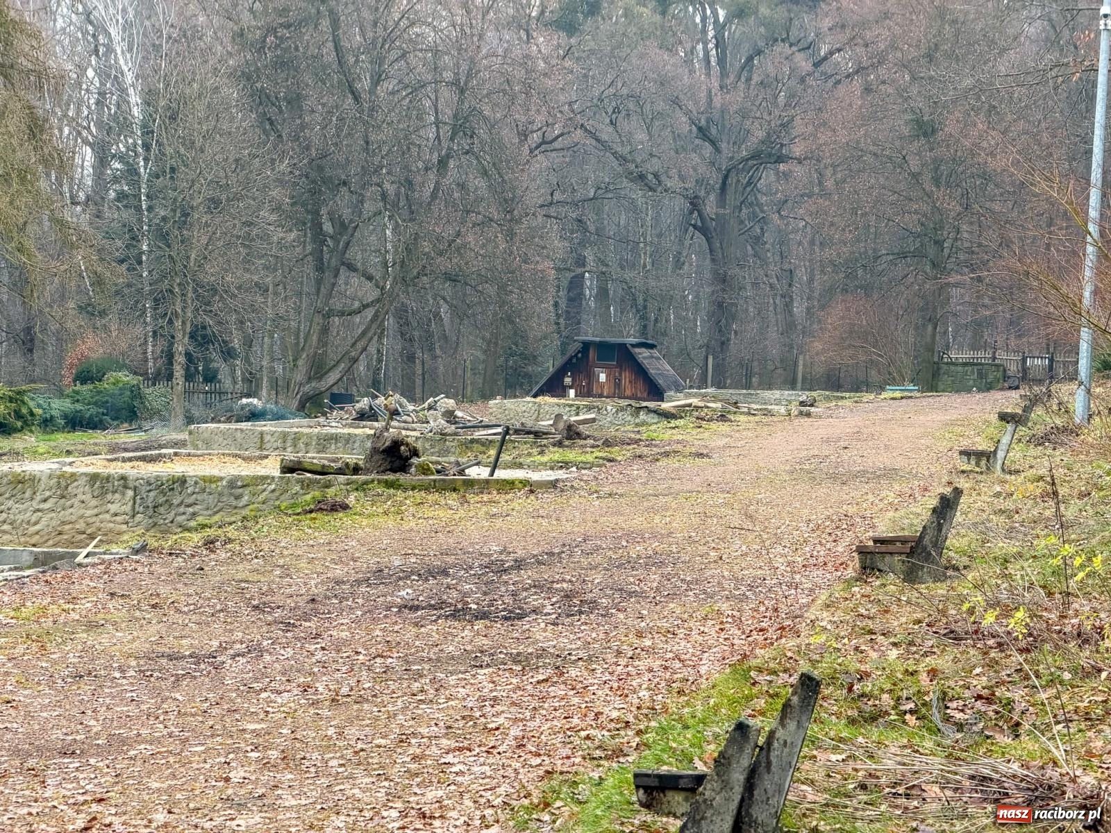 Zdjęcie w galerii na portalu naszraciborz.pl: Trwa wielka przebudowa w Lesie Obora [FOTO] wiadomości z regionu