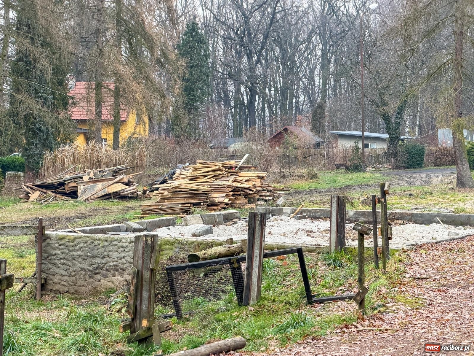 Zdjęcie w galerii na portalu naszraciborz.pl: Trwa wielka przebudowa w Lesie Obora [FOTO] wiadomości z regionu