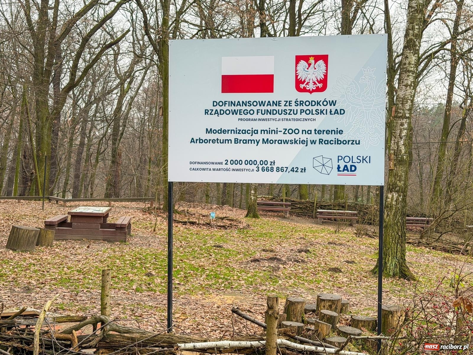 Zdjęcie w galerii na portalu naszraciborz.pl: Trwa wielka przebudowa w Lesie Obora [FOTO] wiadomości z regionu