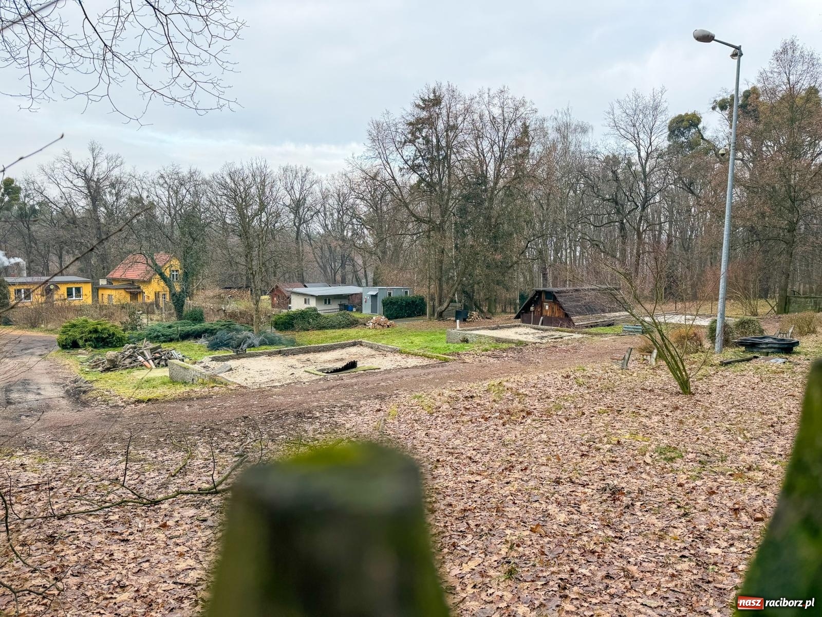 Zdjęcie w galerii na portalu naszraciborz.pl: Trwa wielka przebudowa w Lesie Obora [FOTO] wiadomości z regionu