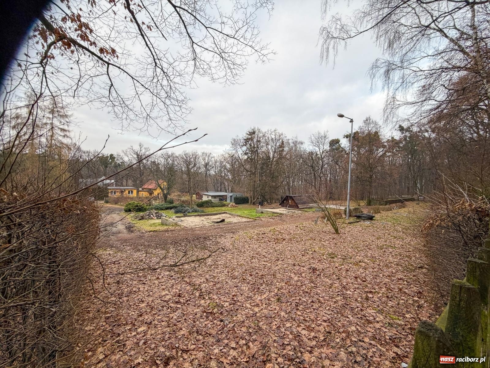 Zdjęcie w galerii na portalu naszraciborz.pl: Trwa wielka przebudowa w Lesie Obora [FOTO] wiadomości z regionu