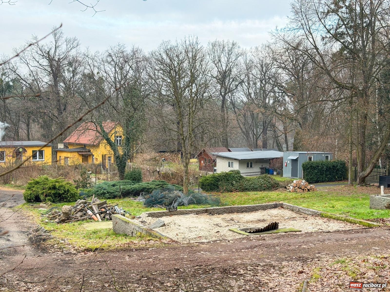 Zdjęcie w galerii na portalu naszraciborz.pl: Trwa wielka przebudowa w Lesie Obora [FOTO] wiadomości z regionu