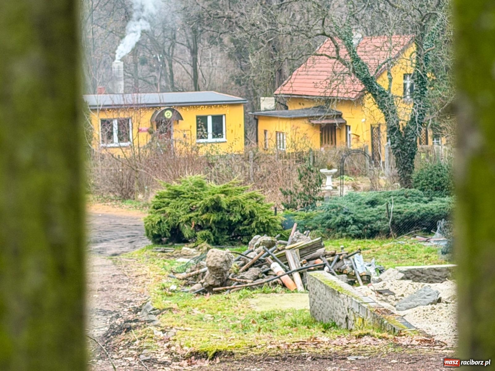 Zdjęcie w galerii na portalu naszraciborz.pl: Trwa wielka przebudowa w Lesie Obora [FOTO] wiadomości z regionu