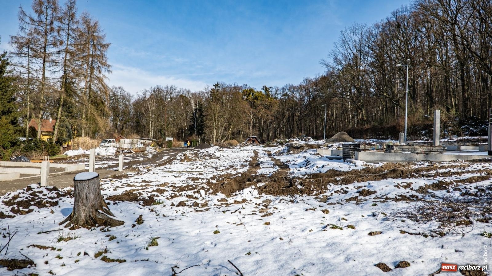 Zdjęcie w galerii na portalu naszraciborz.pl: Trwa wielka przebudowa w Lesie Obora [FOTO] wiadomości z regionu