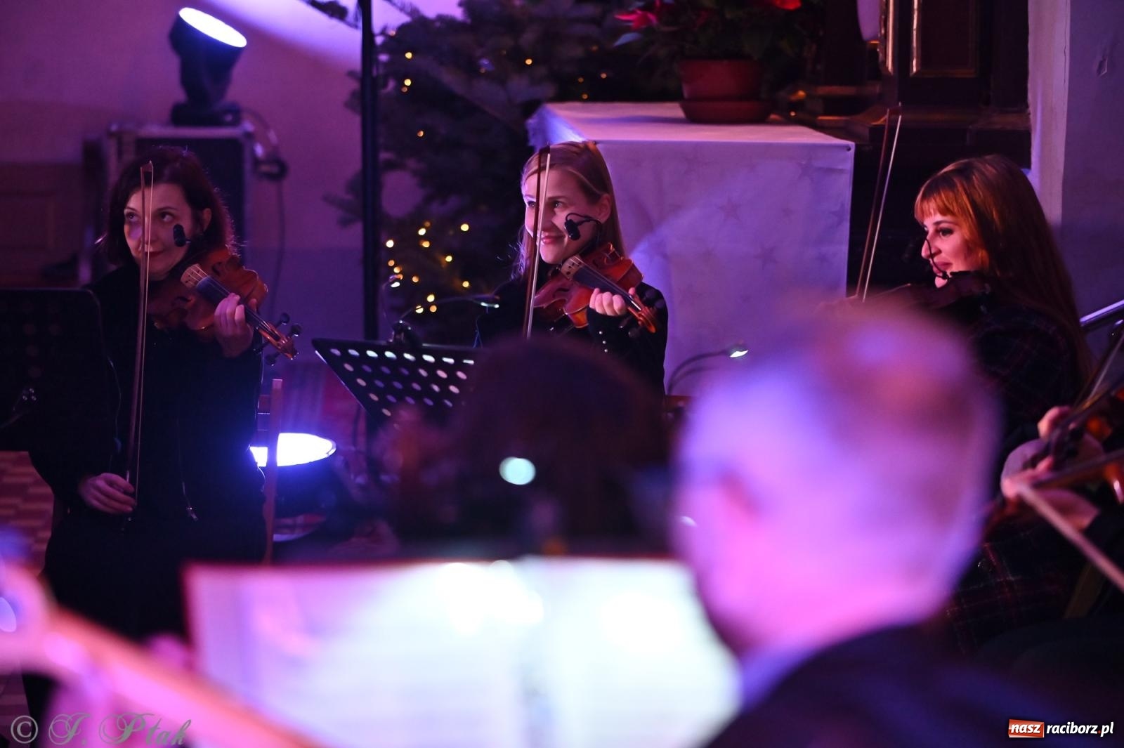 Zdjęcie w galerii na portalu naszraciborz.pl: Koncert kolęd w kościele pw. WNMP w Raciborzu. Wystąpiła orkiestra Plania i solistki wiadomości z regionu