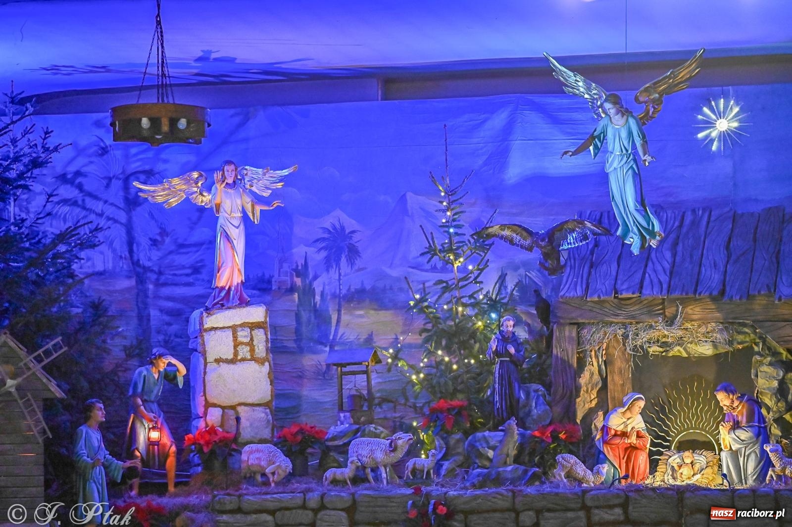 Zdjęcie w galerii na portalu naszraciborz.pl: Wieczór kolęd i pastorałek w kościele św. Paschalisa na Płoni [FOTO i WIDEO] wiadomości z regionu