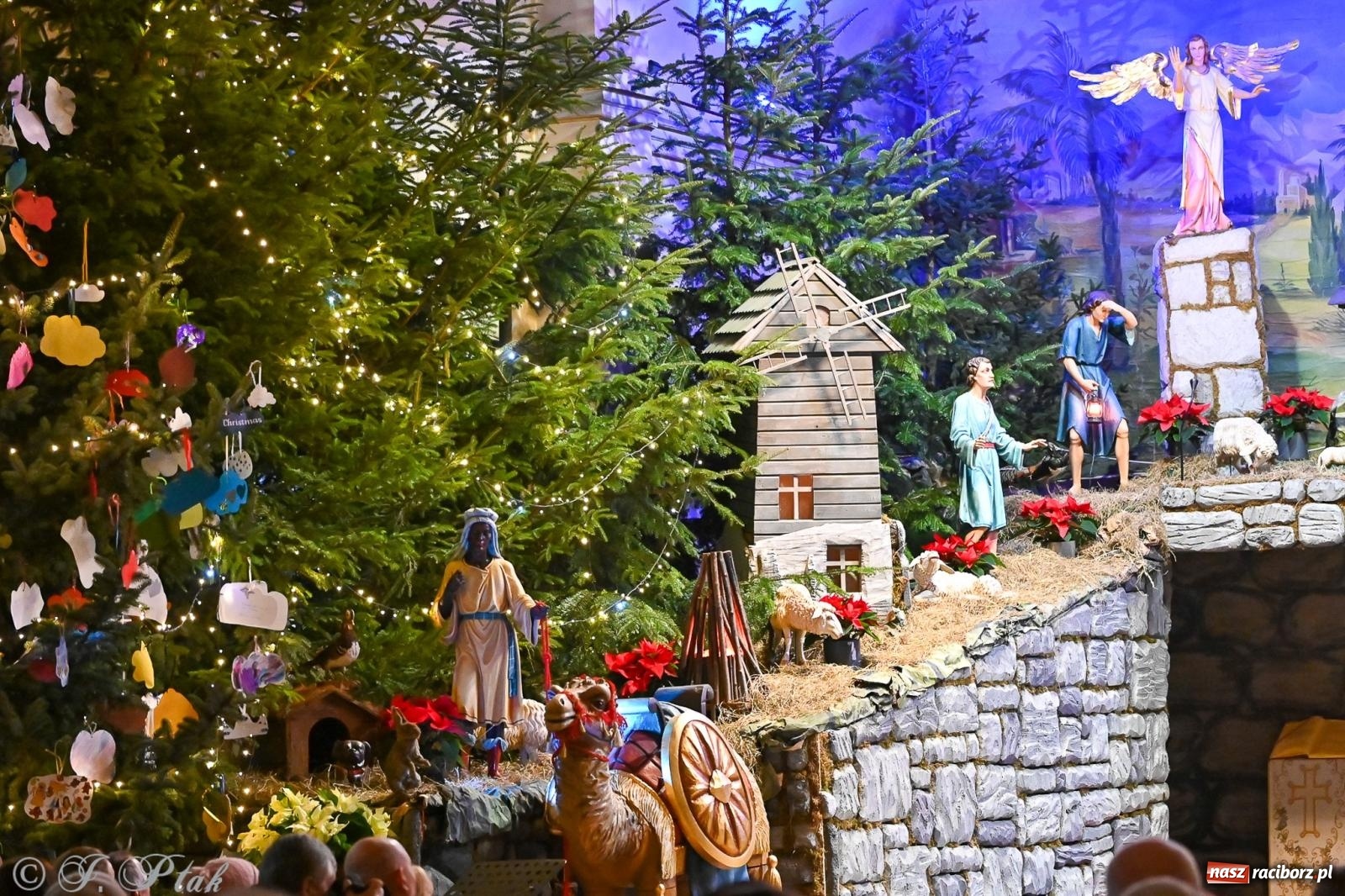 Zdjęcie w galerii na portalu naszraciborz.pl: Wieczór kolęd i pastorałek w kościele św. Paschalisa na Płoni [FOTO i WIDEO] wiadomości z regionu