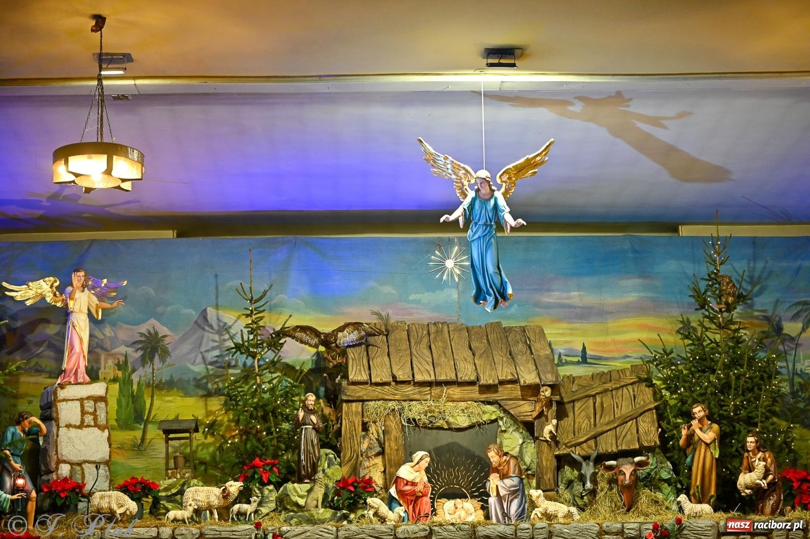 Zdjęcie w galerii na portalu naszraciborz.pl: Wieczór kolęd i pastorałek w kościele św. Paschalisa na Płoni [FOTO i WIDEO] wiadomości z regionu