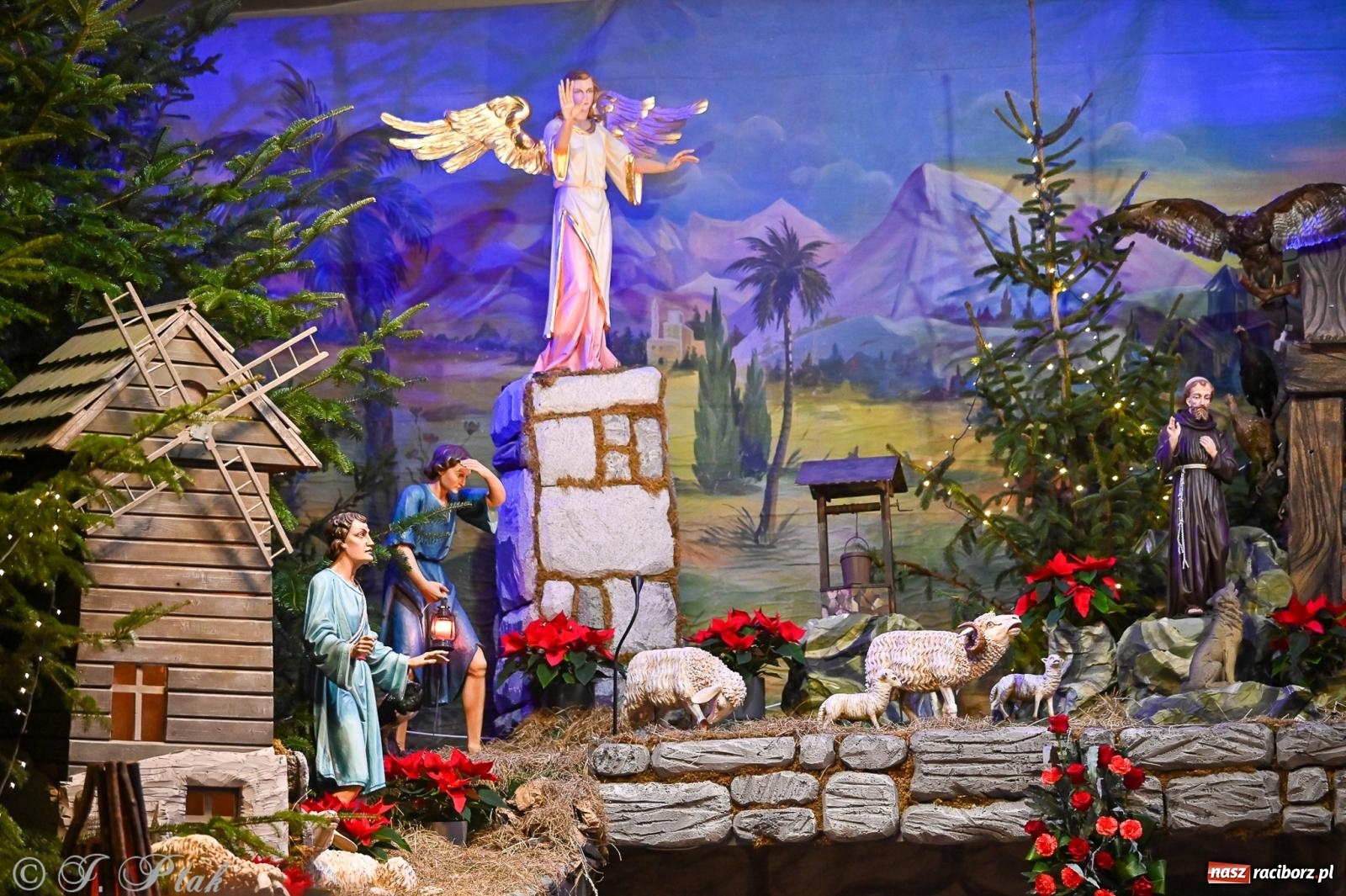 Zdjęcie w galerii na portalu naszraciborz.pl: Wieczór kolęd i pastorałek w kościele św. Paschalisa na Płoni [FOTO i WIDEO] wiadomości z regionu