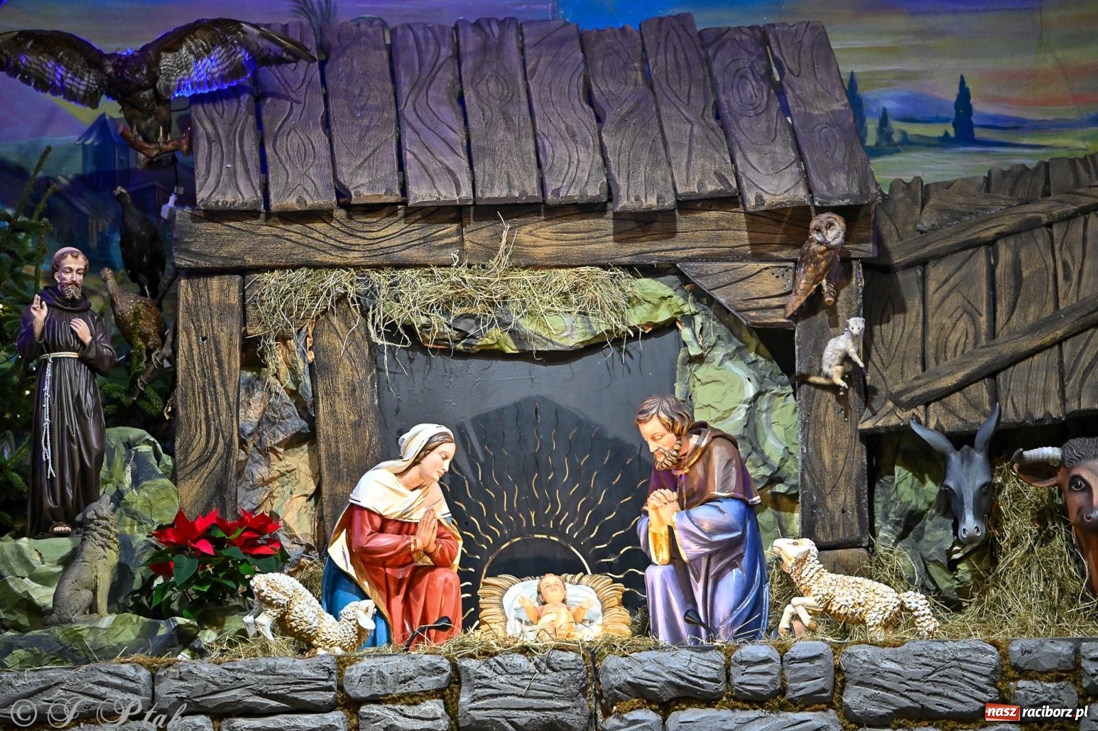 Zdjęcie w galerii na portalu naszraciborz.pl: Wieczór kolęd i pastorałek w kościele św. Paschalisa na Płoni [FOTO i WIDEO] wiadomości z regionu