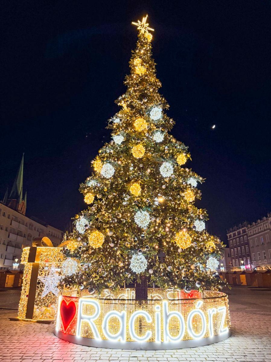Zdjęcie w galerii na portalu naszraciborz.pl: Które miasto zyska miano świetlnej stolicy? Racibórz w stawce wiadomości z regionu