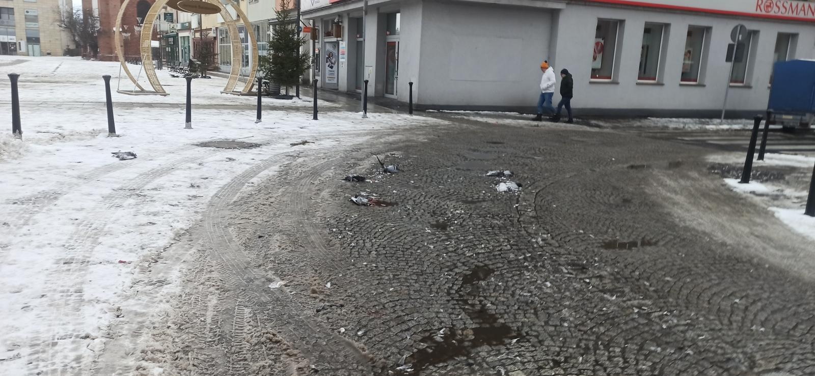 Zdjęcie w galerii na portalu naszraciborz.pl: Smutny widok przy Rynku po nocy sylwestrowej wiadomości z regionu