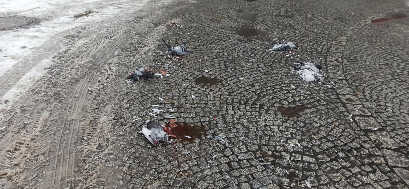 Zdjęcie w galerii na portalu naszraciborz.pl: Smutny widok przy Rynku po nocy sylwestrowej wiadomości z regionu