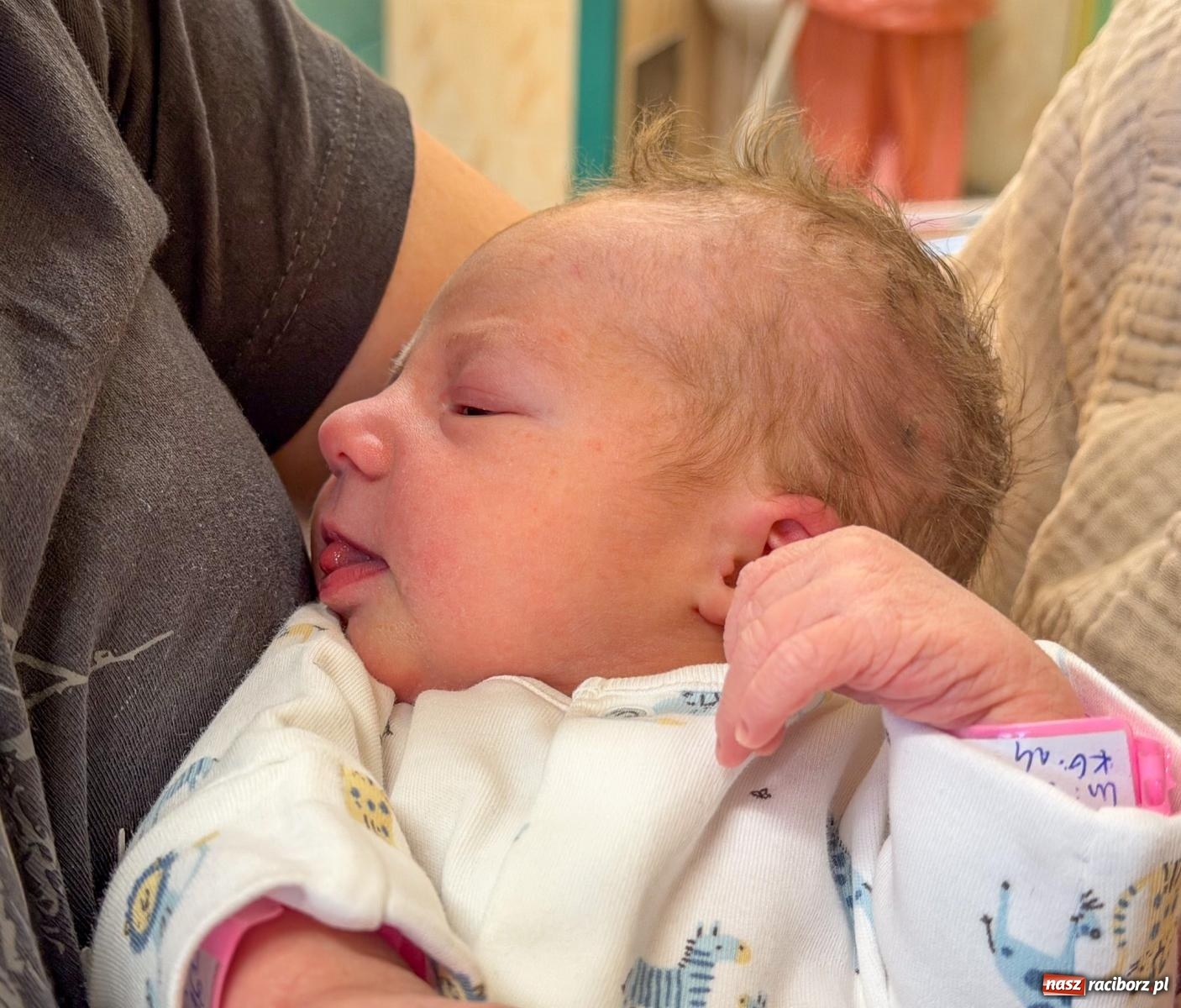 Zdjęcie w galerii na portalu naszraciborz.pl: Alicja Nowok - pierwsze dziecko urodzone w raciborskim szpitalu w 2026 r. wiadomości z regionu
