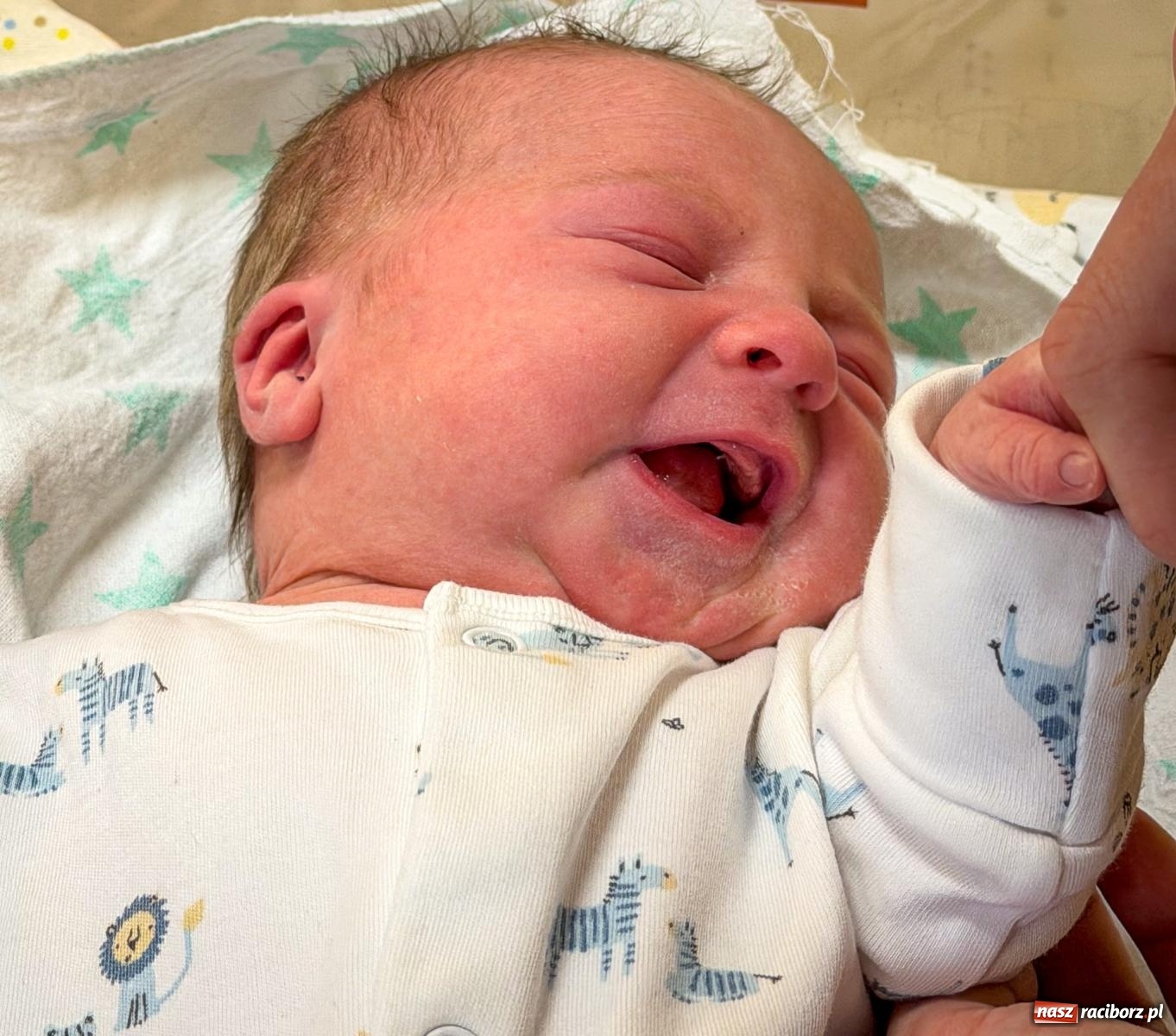 Zdjęcie w galerii na portalu naszraciborz.pl: Alicja Nowok - pierwsze dziecko urodzone w raciborskim szpitalu w 2026 r. wiadomości z regionu