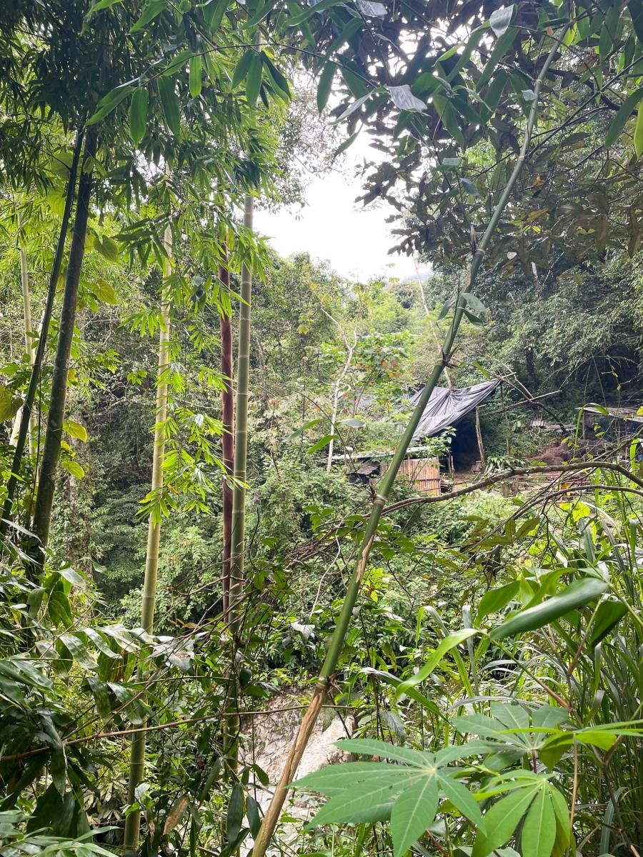 Zdjęcie w galerii na portalu naszraciborz.pl: Perła Ameryki, czyli Raciborzanie na Karaibach wiadomości z regionu