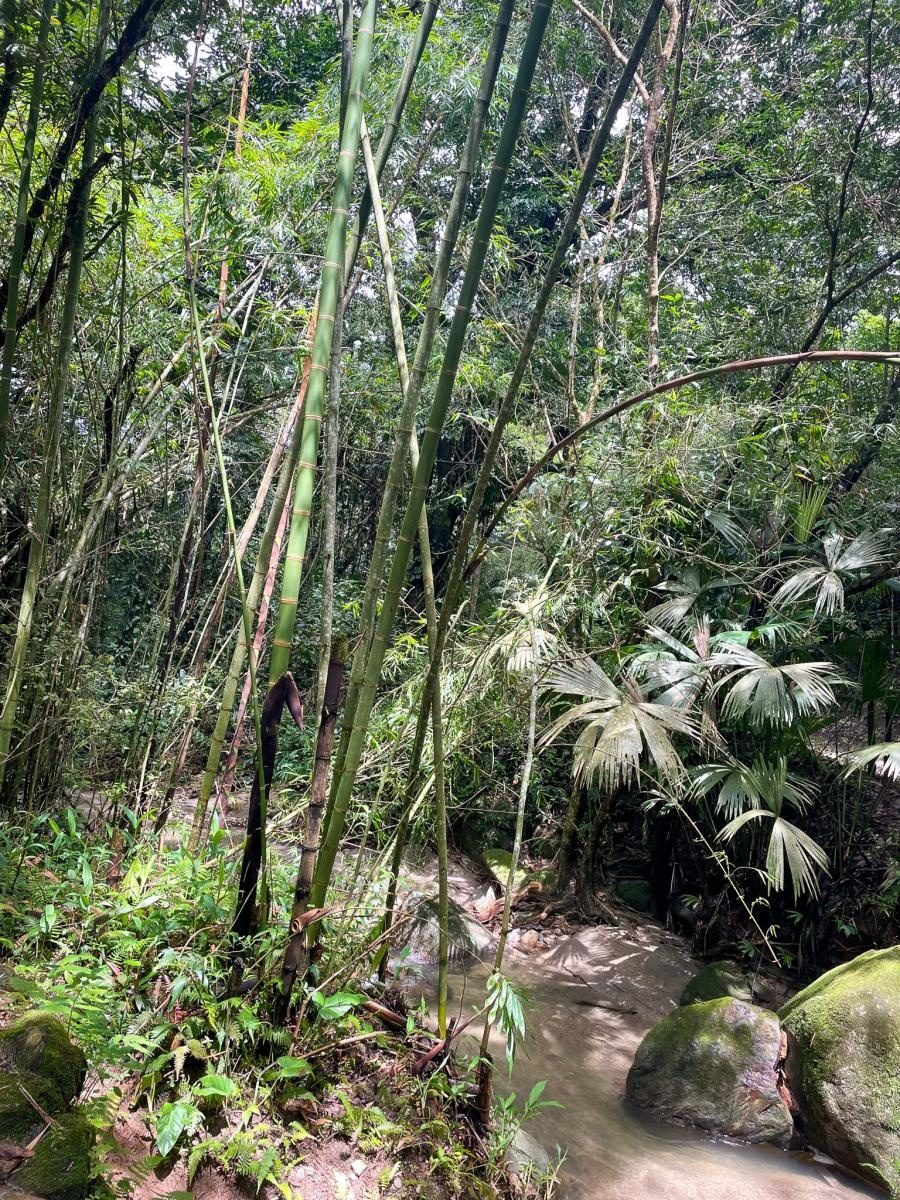 Zdjęcie w galerii na portalu naszraciborz.pl: Perła Ameryki, czyli Raciborzanie na Karaibach wiadomości z regionu