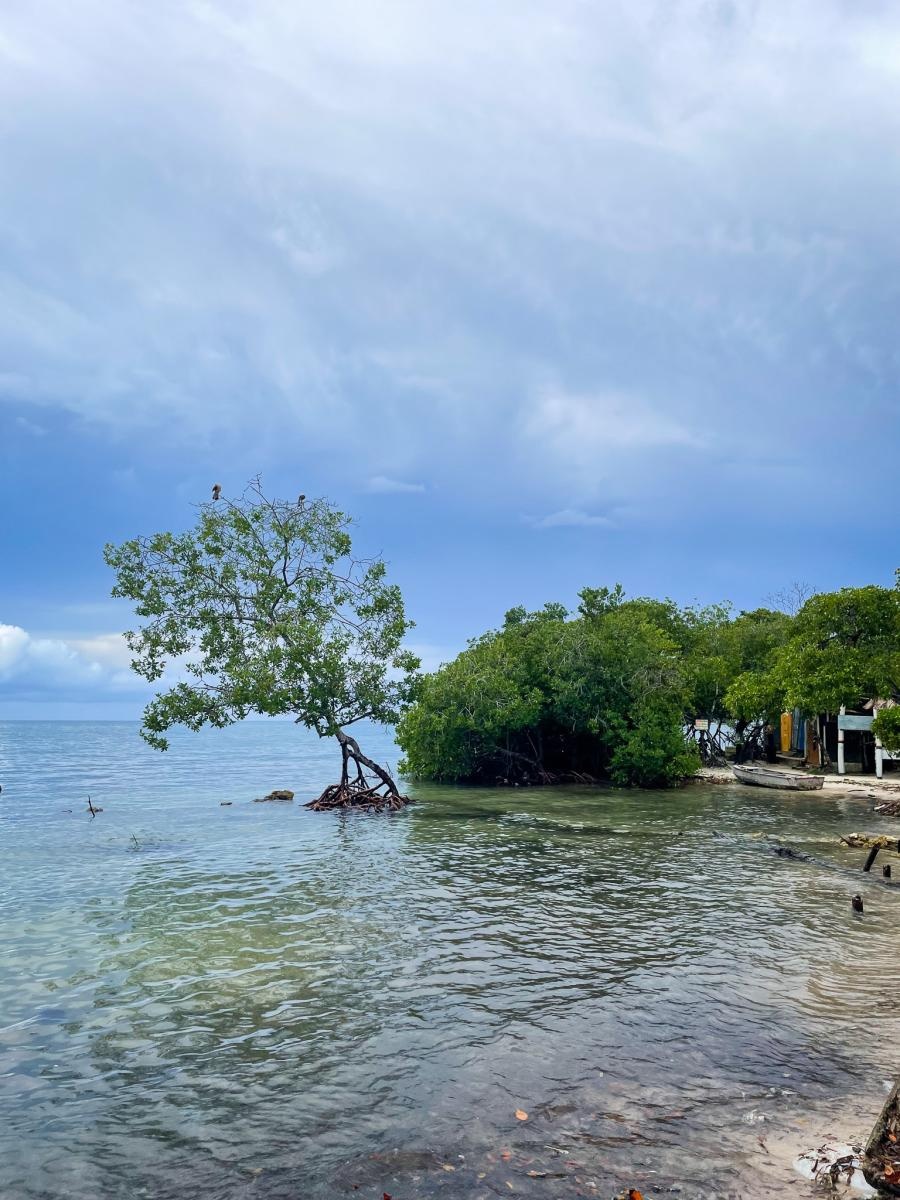 Zdjęcie w galerii na portalu naszraciborz.pl: Perła Ameryki, czyli Raciborzanie na Karaibach wiadomości z regionu