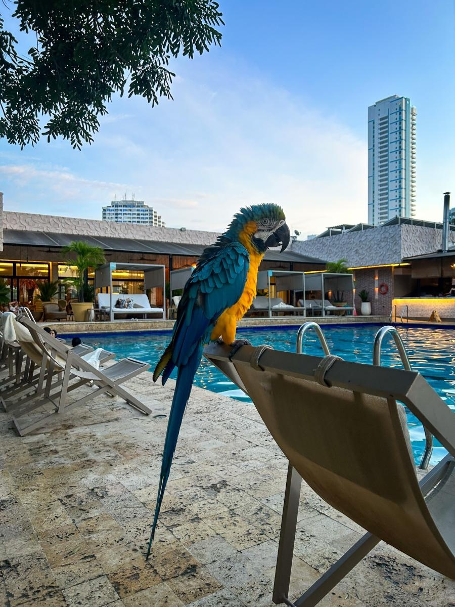 Zdjęcie w galerii na portalu naszraciborz.pl: Perła Ameryki, czyli Raciborzanie na Karaibach wiadomości z regionu