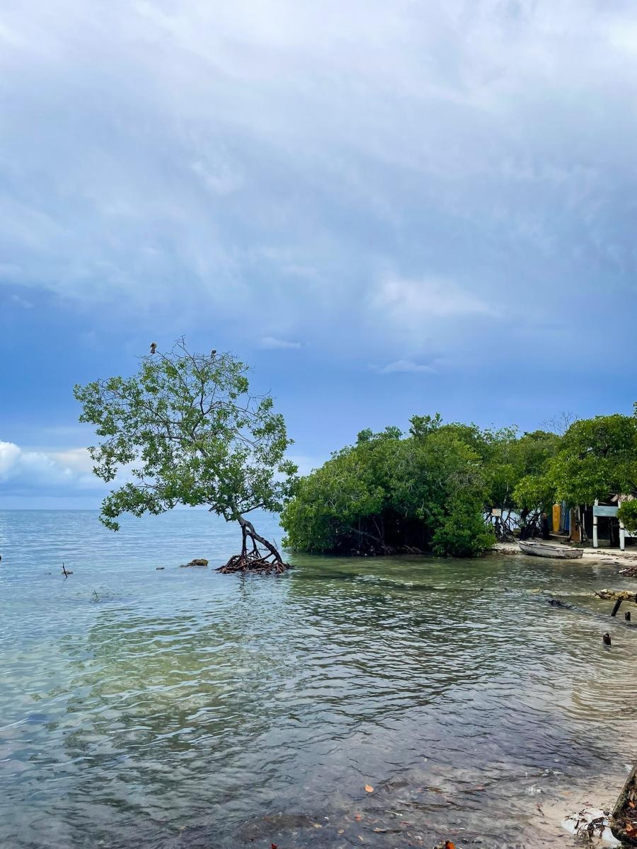 Zdjęcie w galerii na portalu naszraciborz.pl: Perła Ameryki, czyli Raciborzanie na Karaibach wiadomości z regionu