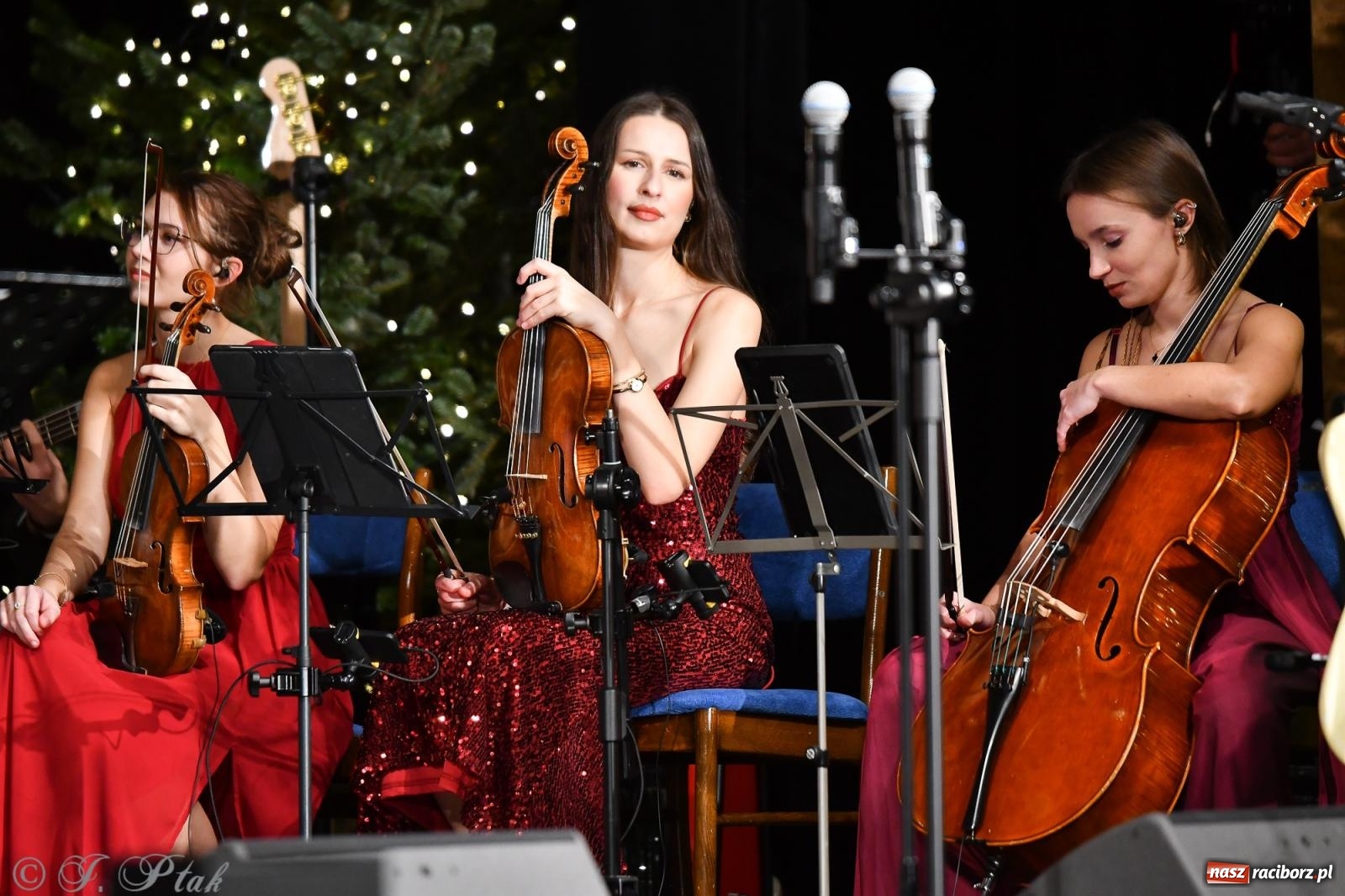 Zdjęcie w galerii na portalu naszraciborz.pl: Koncert kolęd i pieśni Elżbiety i Andrzeja Biskupów powrócił do Raciborza [FOTO i WIDEO] wiadomości z regionu