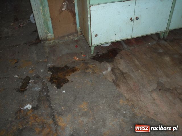 Zdjęcie w galerii na portalu naszraciborz.pl: Sprzęty z eksmisji kupisz za 1 zł wiadomości z regionu