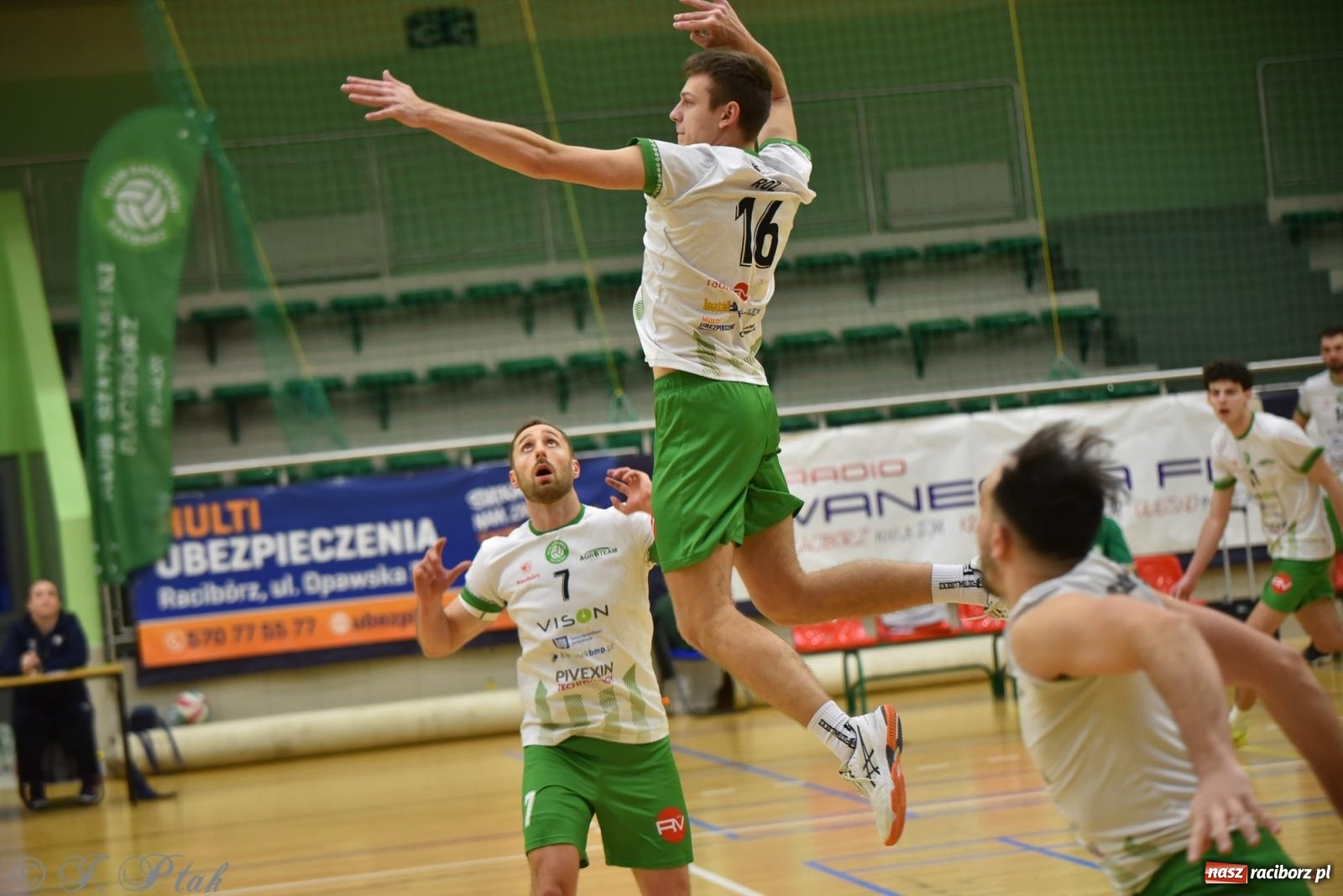 Zdjęcie w galerii na portalu naszraciborz.pl: Siatkarska remontada w hali OSiR. KS Racibórz odwrócił losy meczu z Olimpią Włodowice [FOTO i WIDEO] wiadomości z regionu
