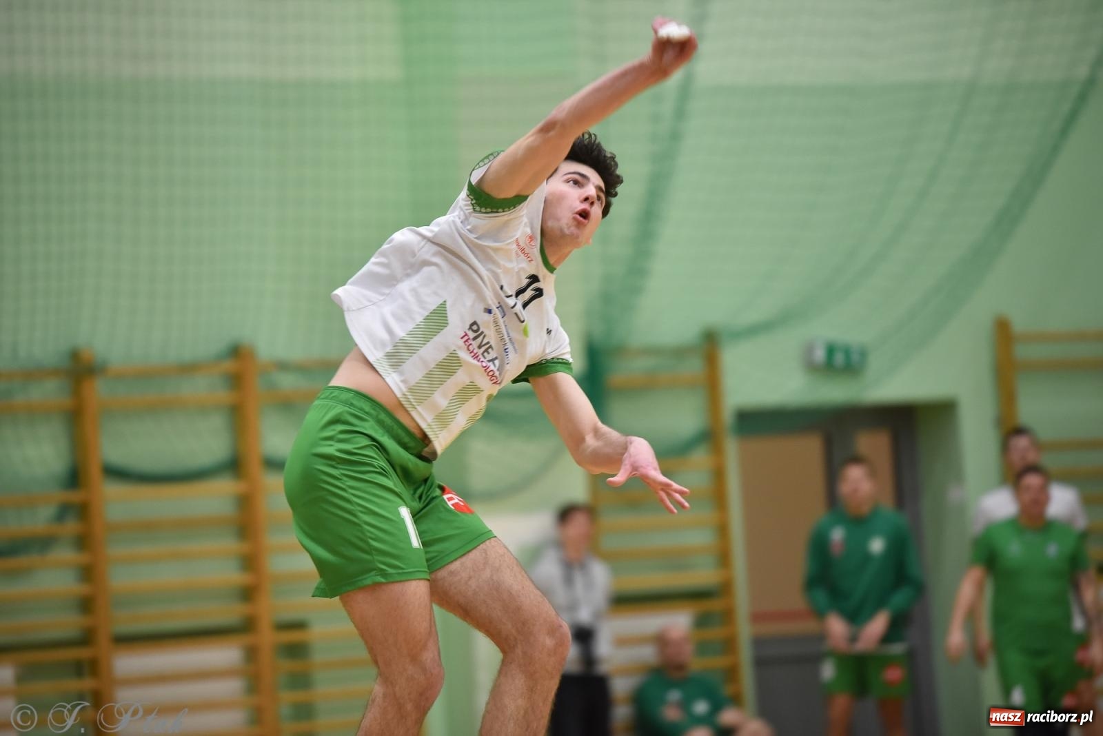 Zdjęcie w galerii na portalu naszraciborz.pl: Siatkarska remontada w hali OSiR. KS Racibórz odwrócił losy meczu z Olimpią Włodowice [FOTO i WIDEO] wiadomości z regionu