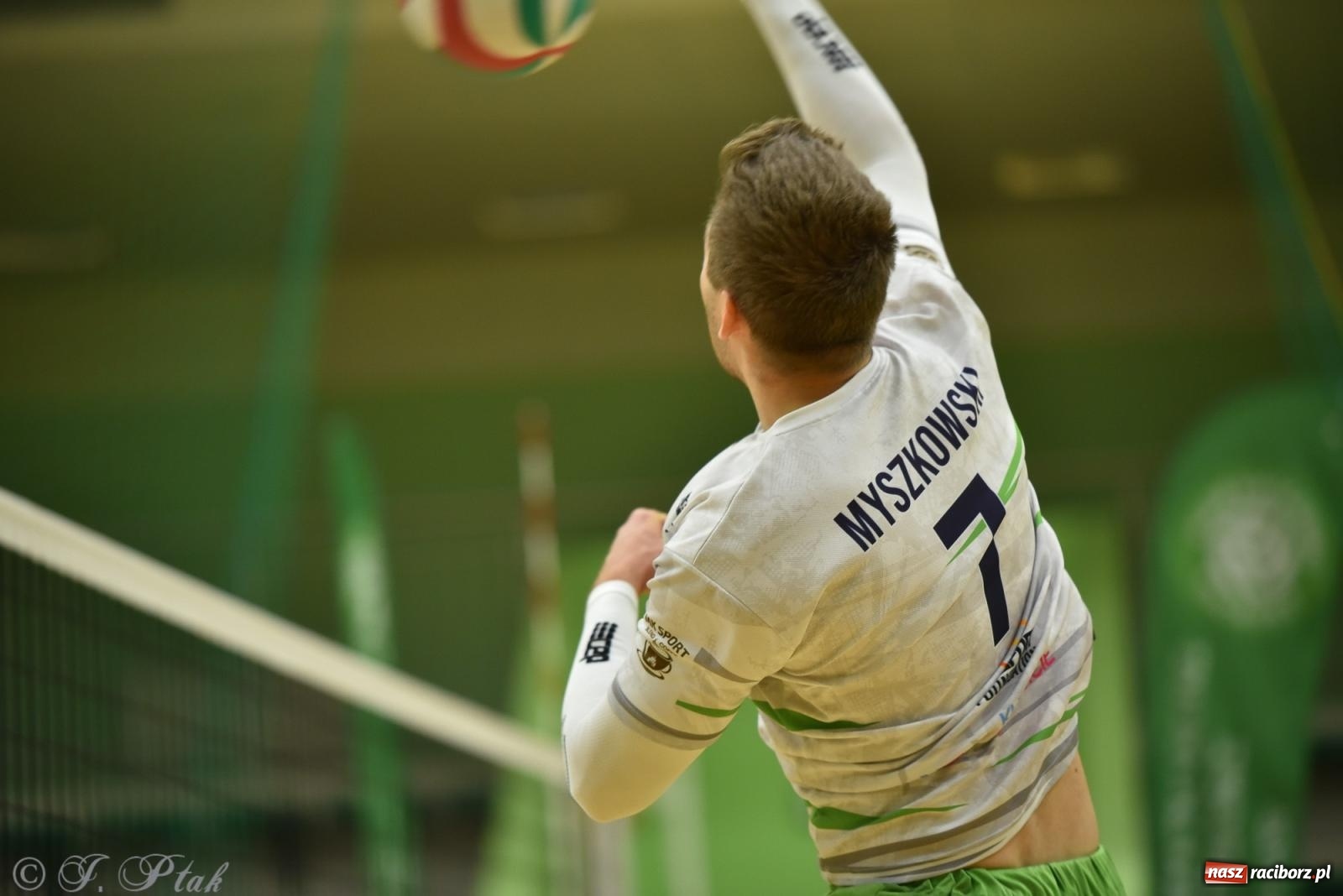 Zdjęcie w galerii na portalu naszraciborz.pl: Siatkarska remontada w hali OSiR. KS Racibórz odwrócił losy meczu z Olimpią Włodowice [FOTO i WIDEO] wiadomości z regionu