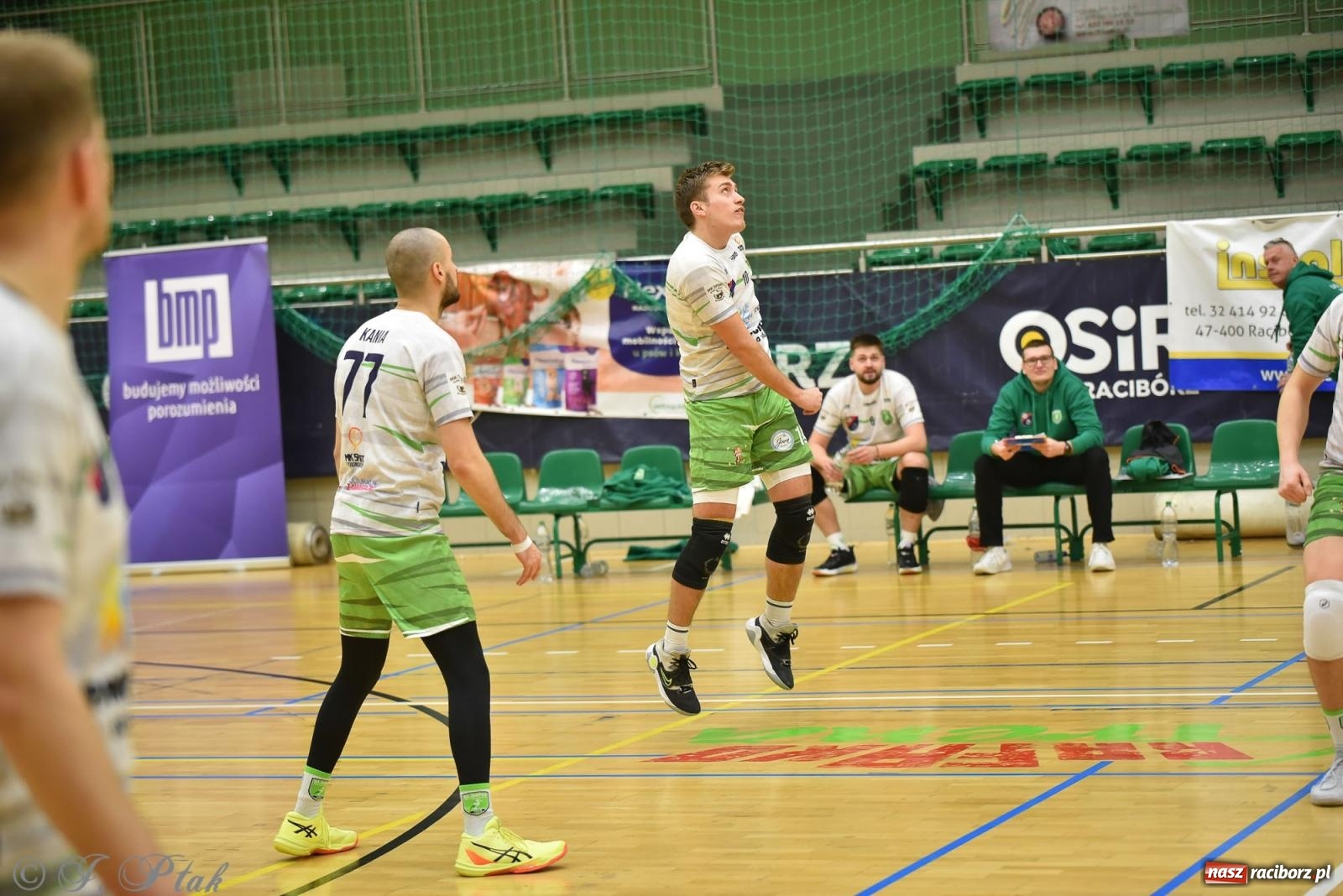 Zdjęcie w galerii na portalu naszraciborz.pl: Siatkarska remontada w hali OSiR. KS Racibórz odwrócił losy meczu z Olimpią Włodowice [FOTO i WIDEO] wiadomości z regionu