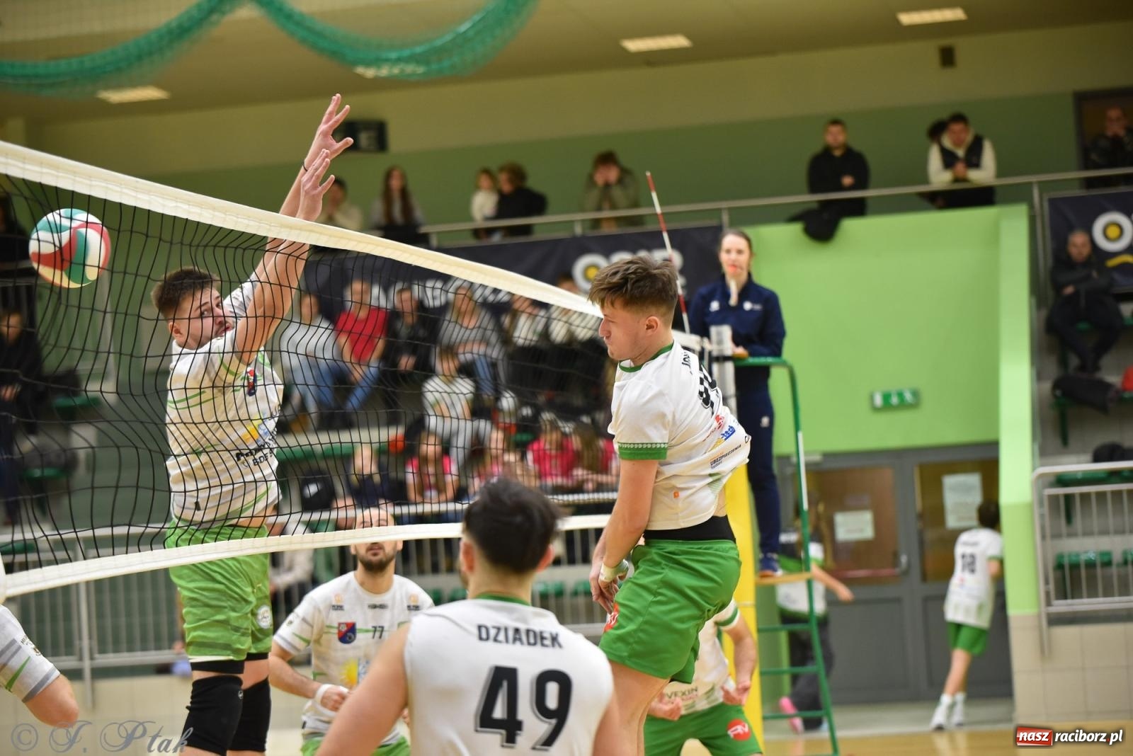 Zdjęcie w galerii na portalu naszraciborz.pl: Siatkarska remontada w hali OSiR. KS Racibórz odwrócił losy meczu z Olimpią Włodowice [FOTO i WIDEO] wiadomości z regionu