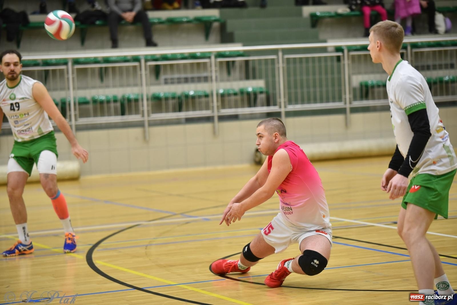 Zdjęcie w galerii na portalu naszraciborz.pl: Siatkarska remontada w hali OSiR. KS Racibórz odwrócił losy meczu z Olimpią Włodowice [FOTO i WIDEO] wiadomości z regionu
