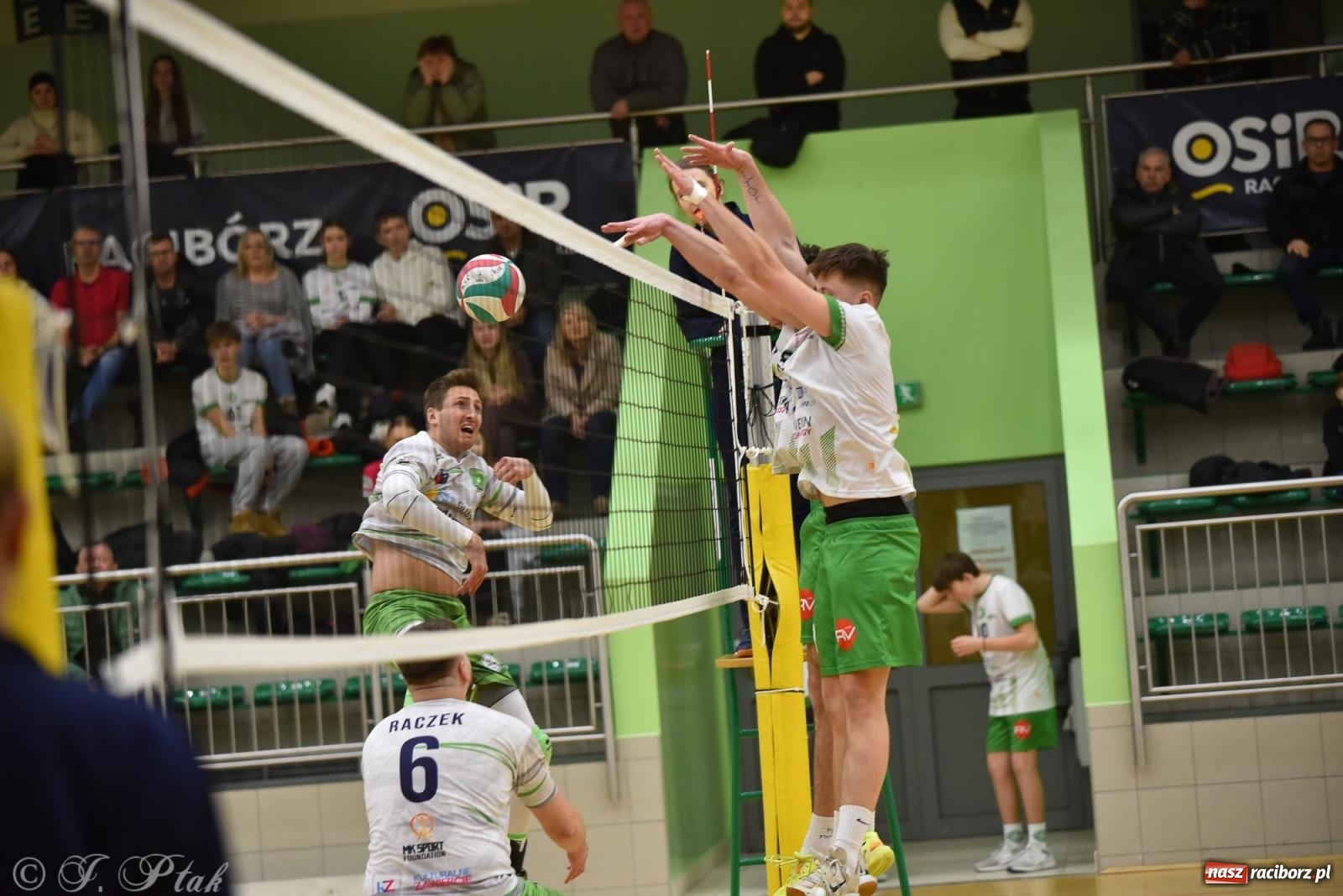 Zdjęcie w galerii na portalu naszraciborz.pl: Siatkarska remontada w hali OSiR. KS Racibórz odwrócił losy meczu z Olimpią Włodowice [FOTO i WIDEO] wiadomości z regionu