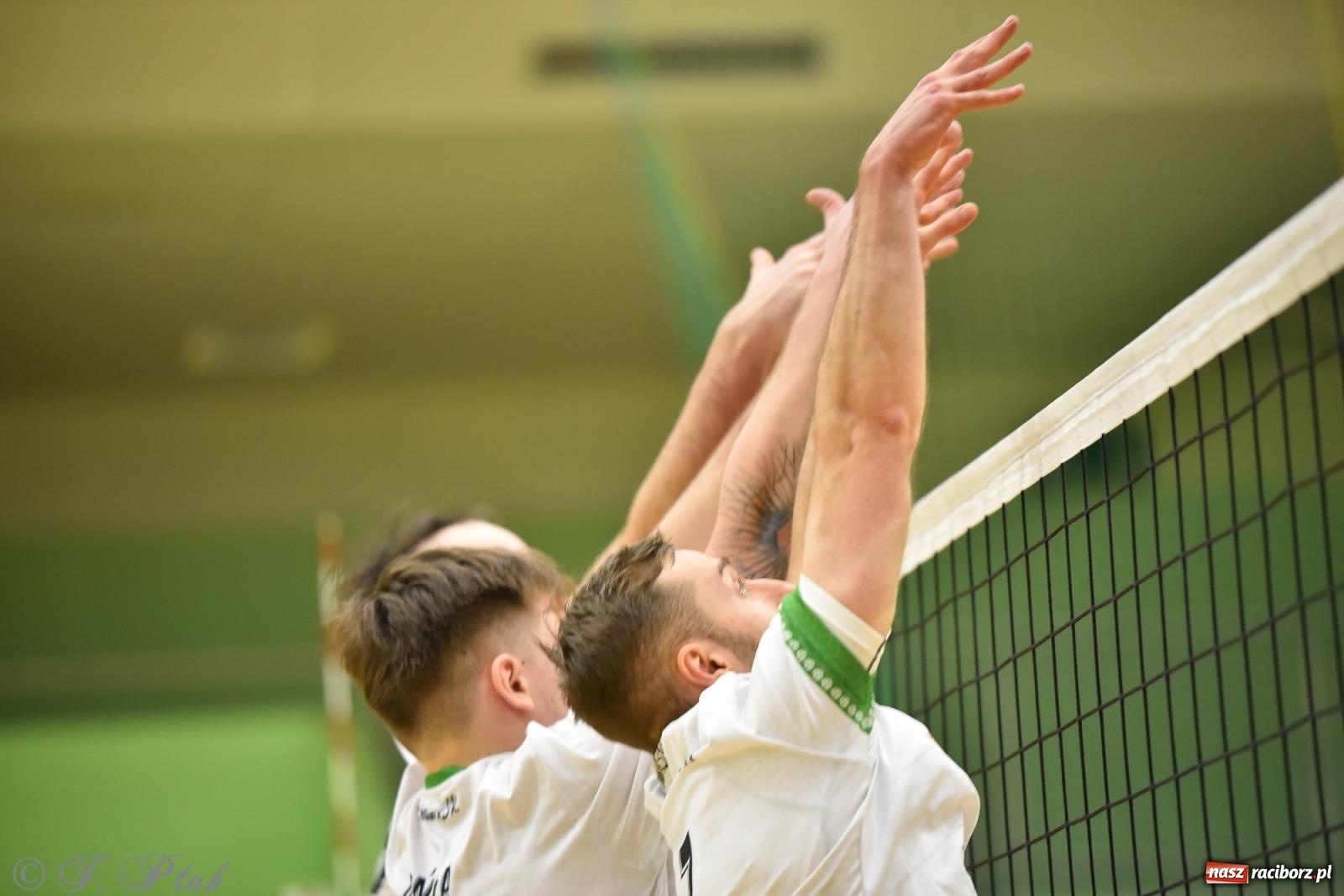 Zdjęcie w galerii na portalu naszraciborz.pl: Siatkarska remontada w hali OSiR. KS Racibórz odwrócił losy meczu z Olimpią Włodowice [FOTO i WIDEO] wiadomości z regionu