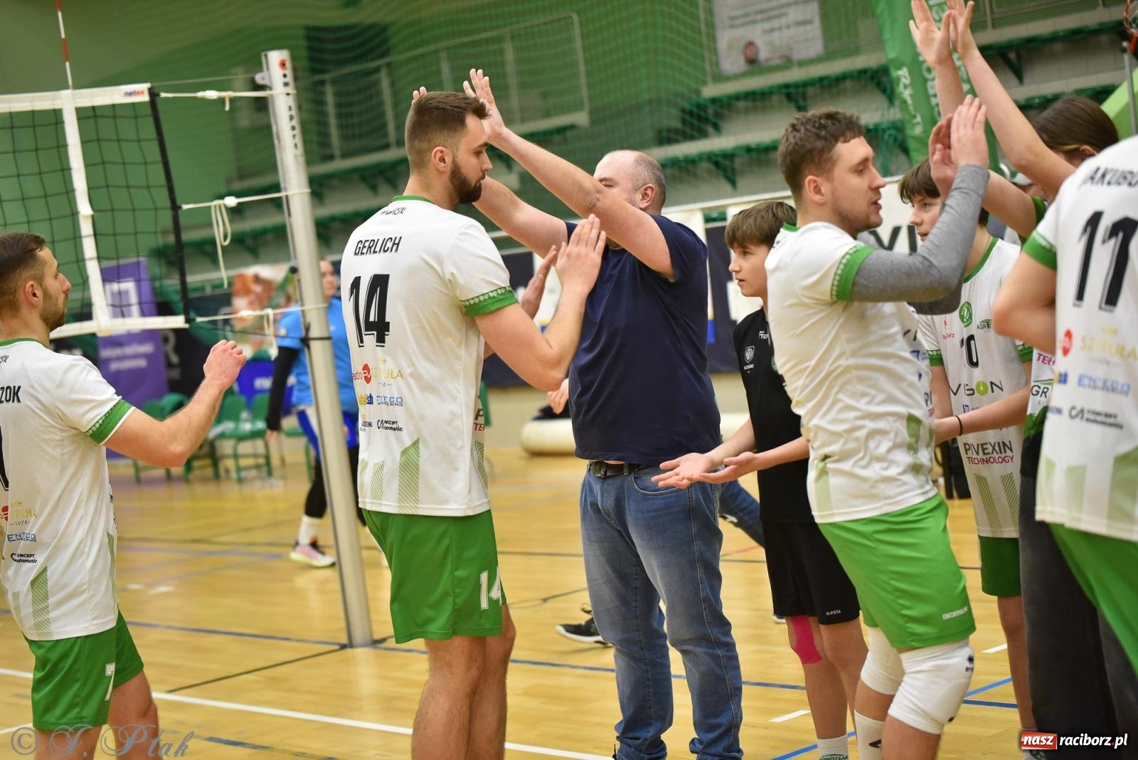 Zdjęcie w galerii na portalu naszraciborz.pl: Siatkarska remontada w hali OSiR. KS Racibórz odwrócił losy meczu z Olimpią Włodowice [FOTO i WIDEO] wiadomości z regionu