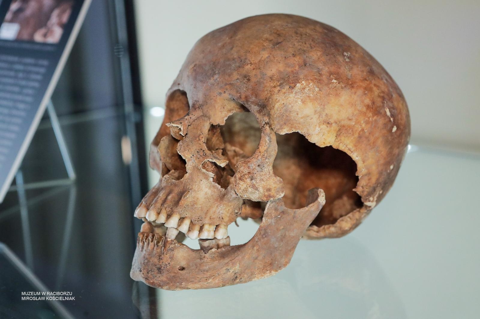 Zdjęcie w galerii na portalu naszraciborz.pl: Tajemnice średniowiecza i Starożytnego Egiptu. Historia opowiedziana na nowo w raciborskim muzeum wiadomości z regionu