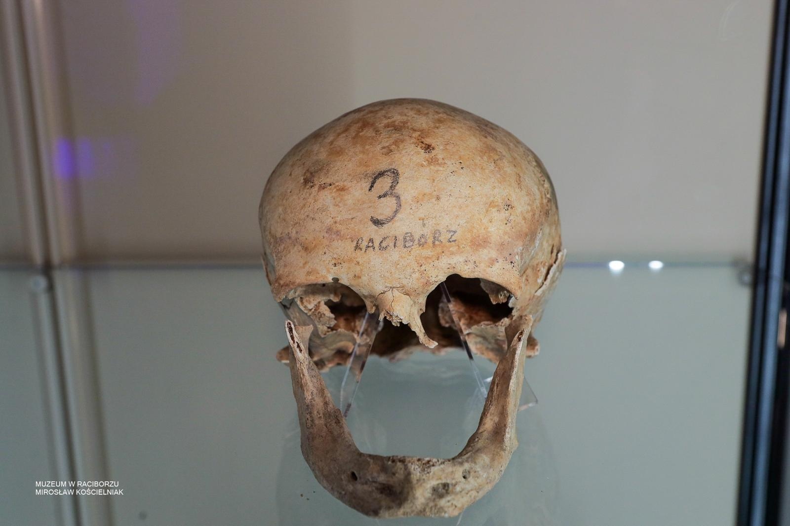 Zdjęcie w galerii na portalu naszraciborz.pl: Tajemnice średniowiecza i Starożytnego Egiptu. Historia opowiedziana na nowo w raciborskim muzeum wiadomości z regionu