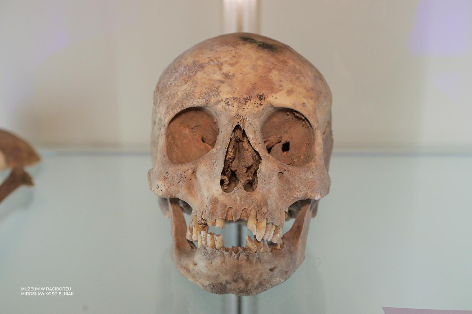 Zdjęcie w galerii na portalu naszraciborz.pl: Tajemnice średniowiecza i Starożytnego Egiptu. Historia opowiedziana na nowo w raciborskim muzeum wiadomości z regionu