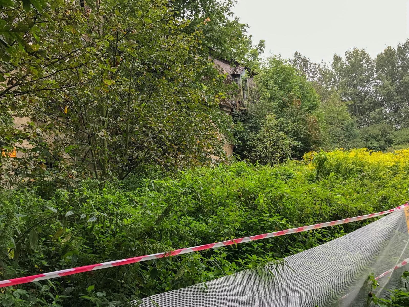 Zdjęcie w galerii na portalu naszraciborz.pl: Pałacyk w Łężczoku odzyskuje blask [FOTO] wiadomości z regionu