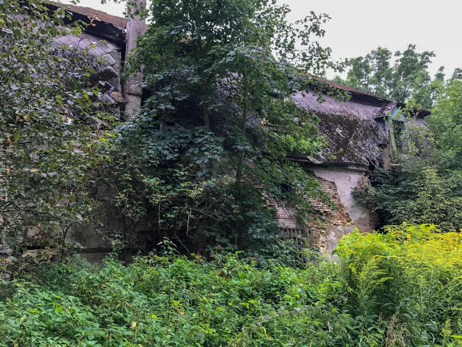 Zdjęcie w galerii na portalu naszraciborz.pl: Pałacyk w Łężczoku odzyskuje blask [FOTO] wiadomości z regionu