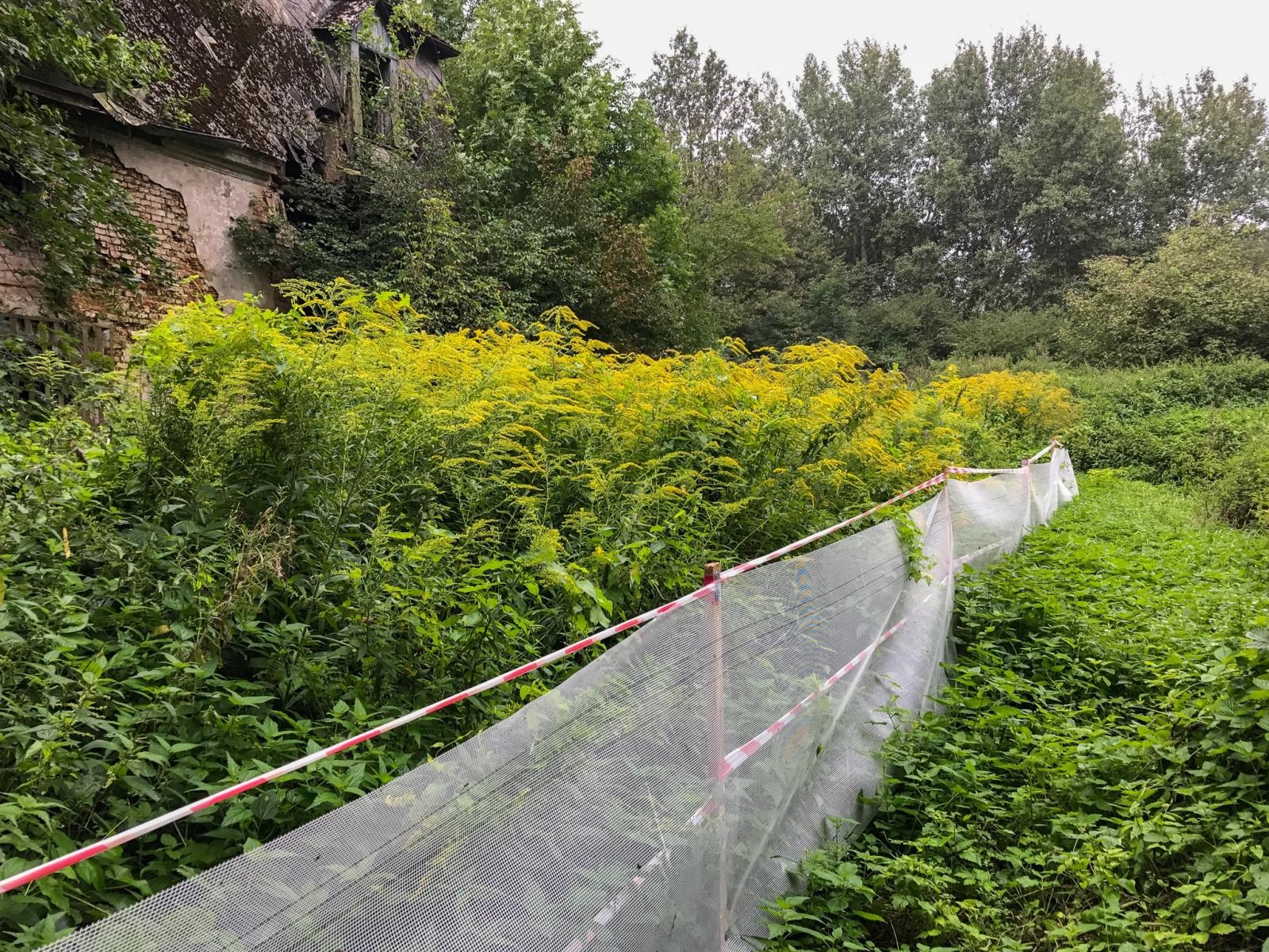 Zdjęcie w galerii na portalu naszraciborz.pl: Pałacyk w Łężczoku odzyskuje blask [FOTO] wiadomości z regionu