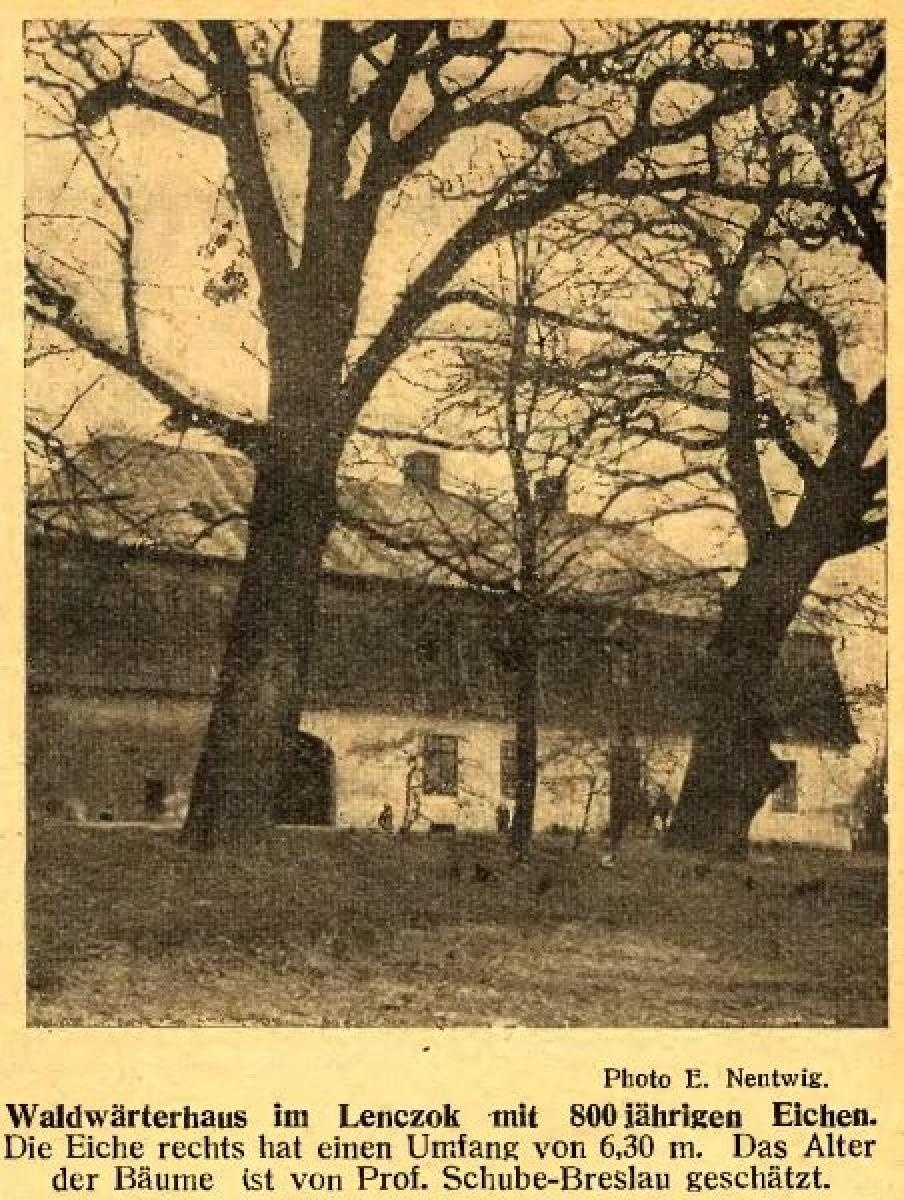 Zdjęcie w galerii na portalu naszraciborz.pl: Pałacyk w Łężczoku odzyskuje blask [FOTO] wiadomości z regionu