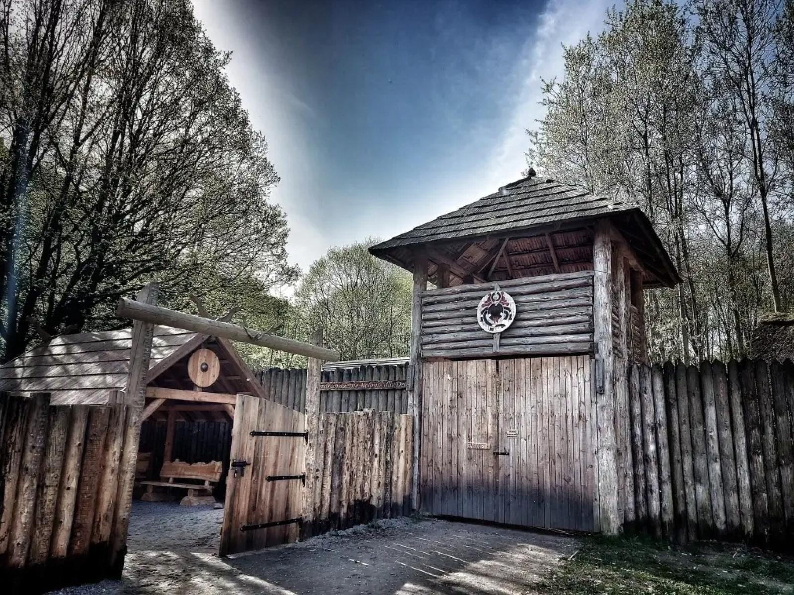 Zdjęcie w galerii na portalu naszraciborz.pl: Jak jeszcze wesprzeć WOŚP w Raciborzu? Licytacje ze sceny i na Allegro wiadomości z regionu